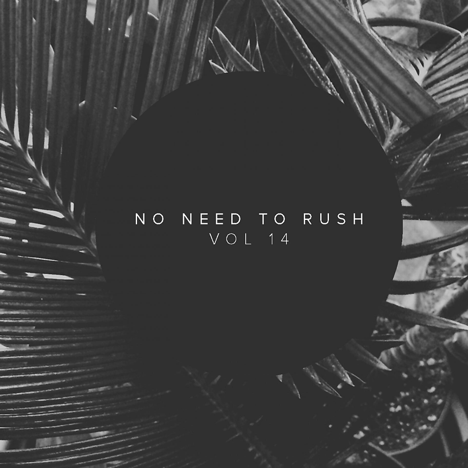 Постер альбома No Need To Rush, Vol.14
