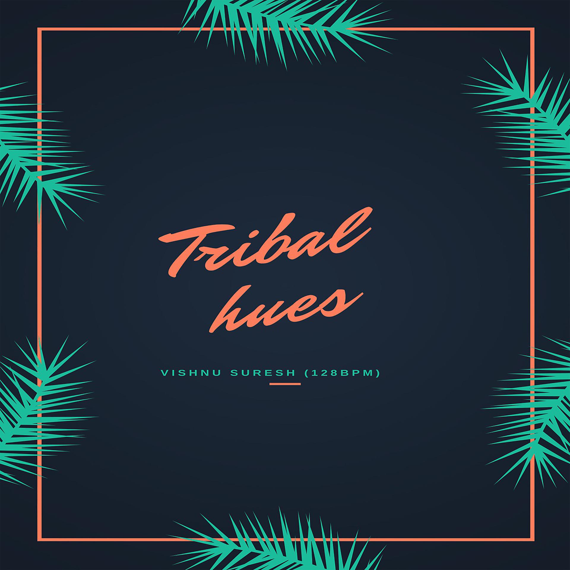 Постер альбома Tribal hues