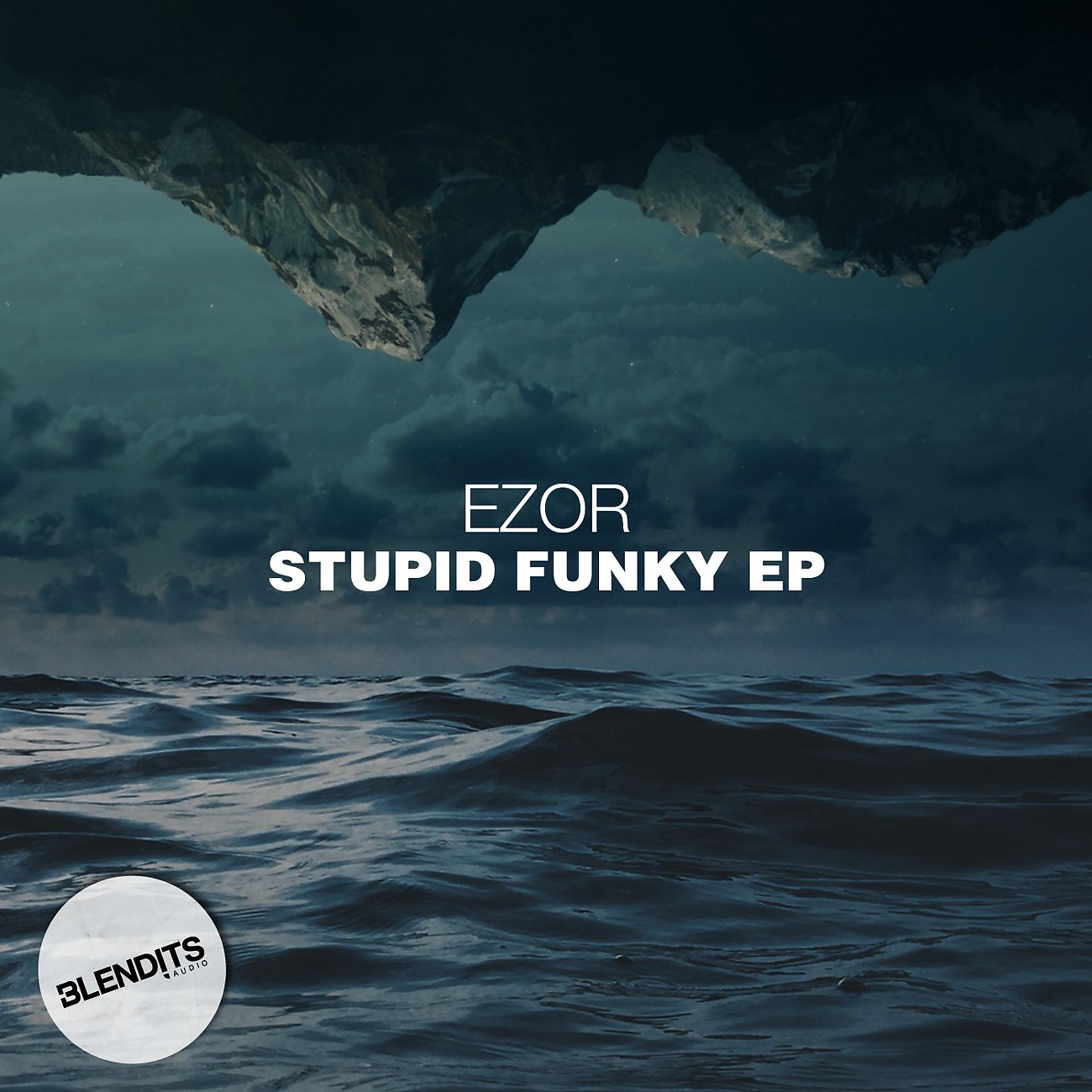 Постер альбома Stupid Funky EP