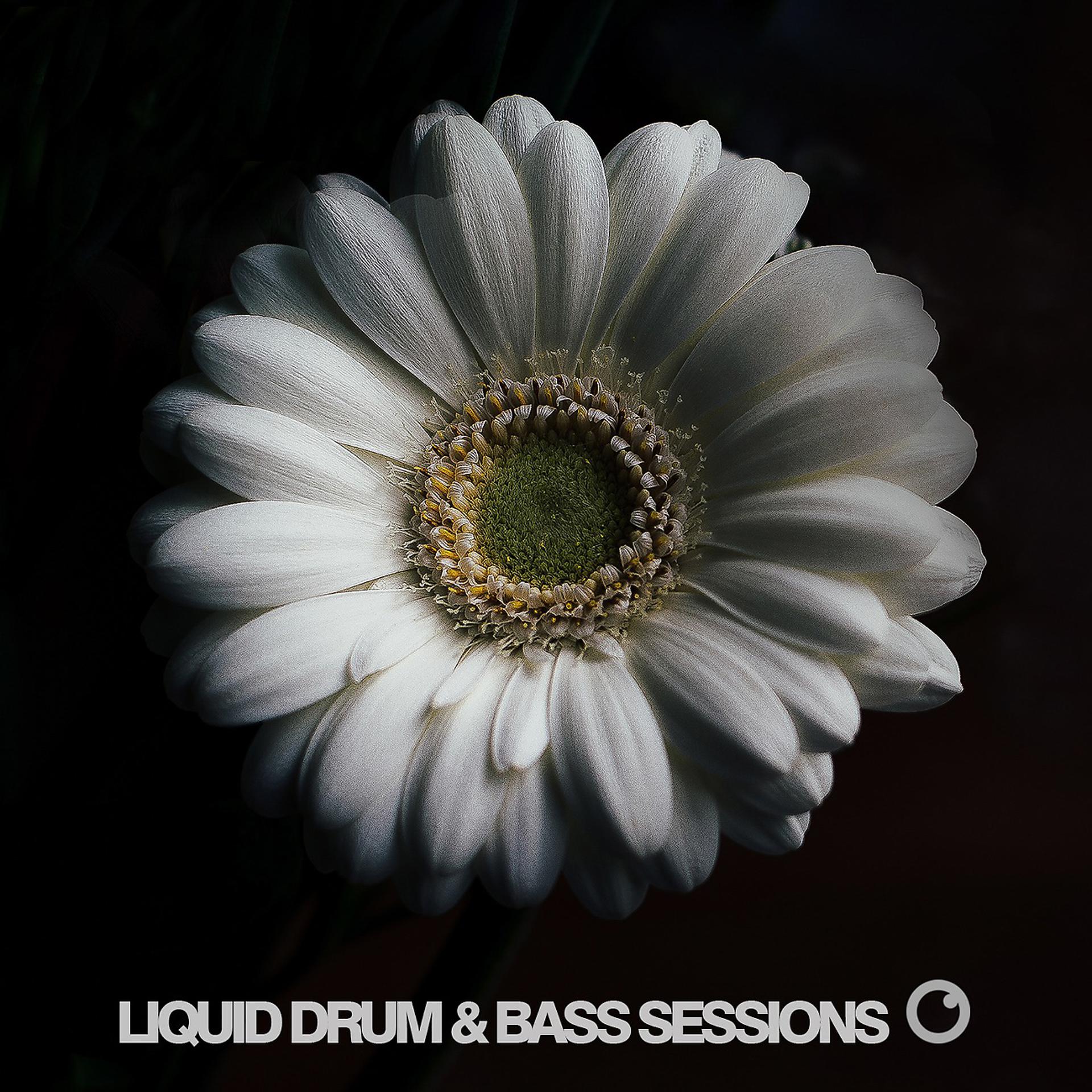 Постер альбома Liquid Drum and Bass Sessions 2019 Vol 2