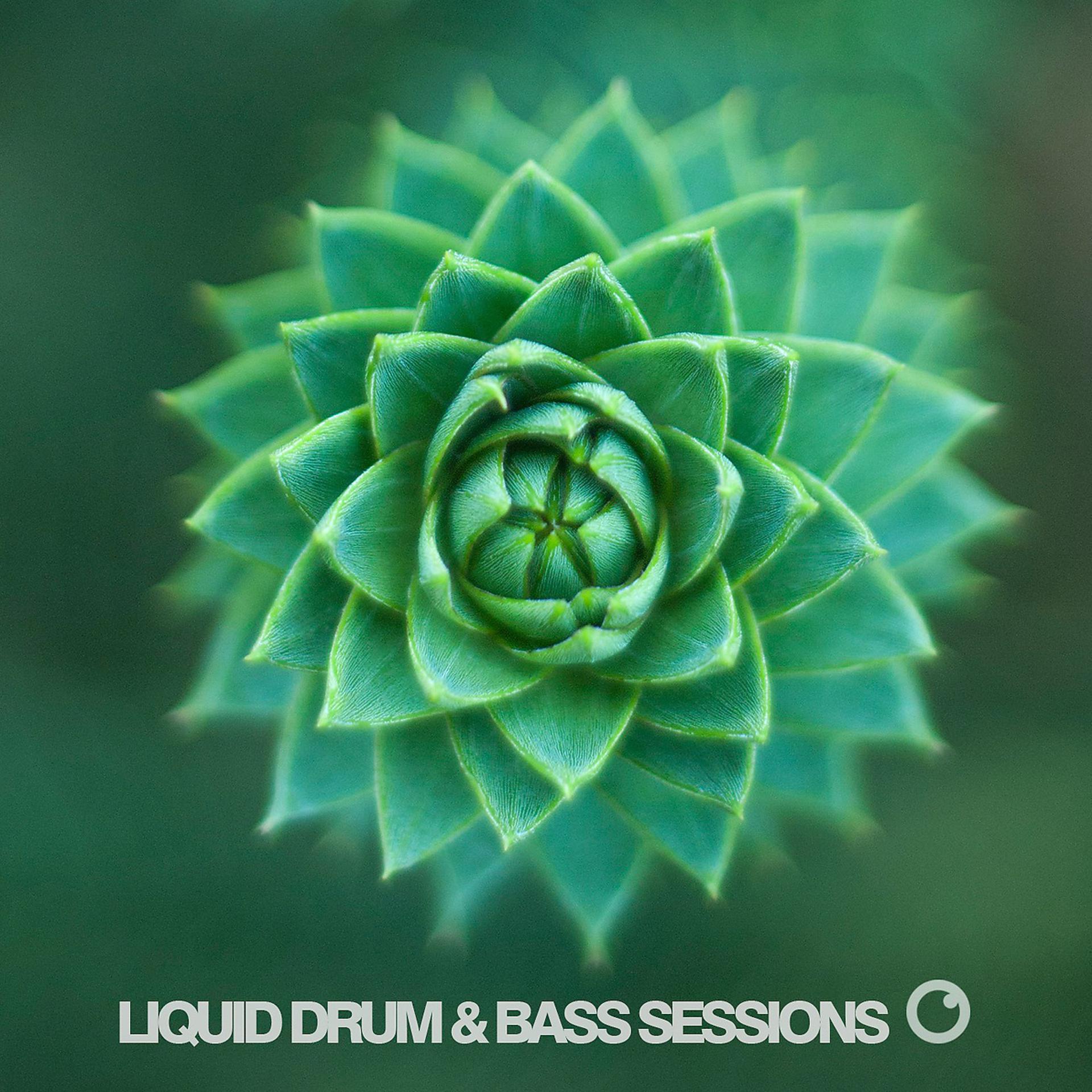 Постер альбома Liquid Drum & Bass Sessions 2019 Vol 3