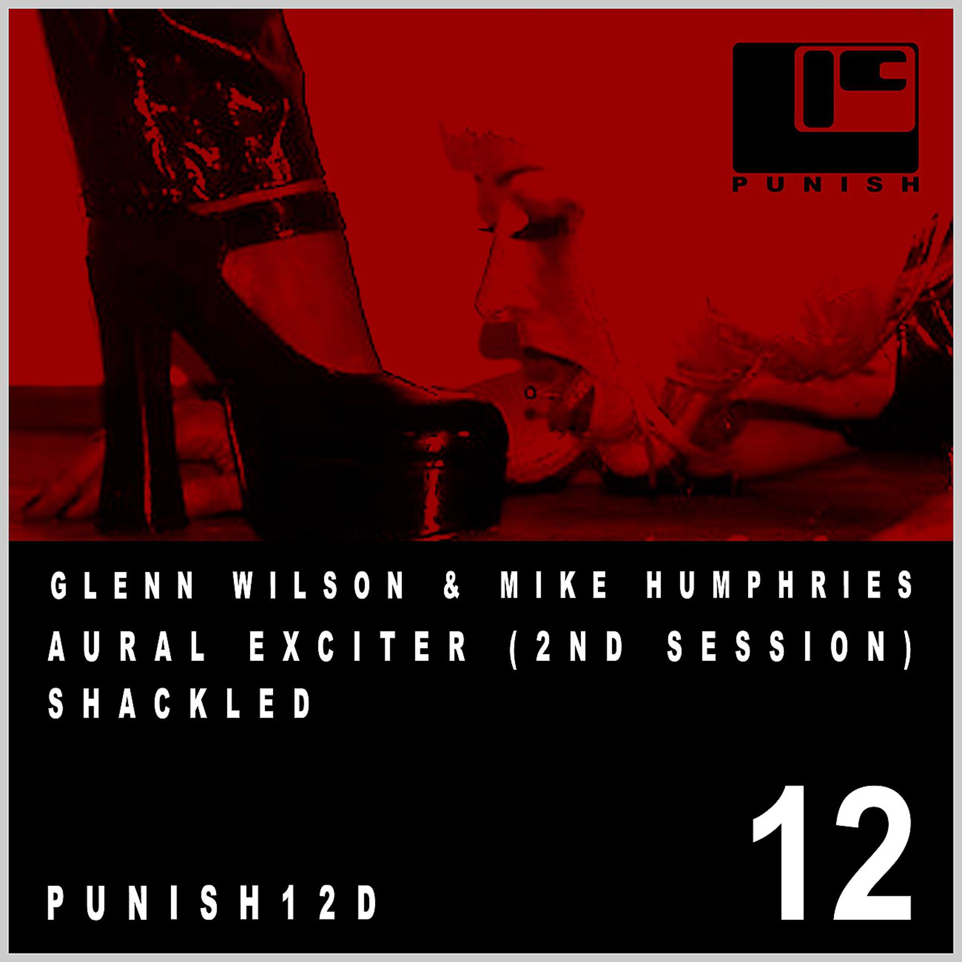 Постер альбома Punish 12