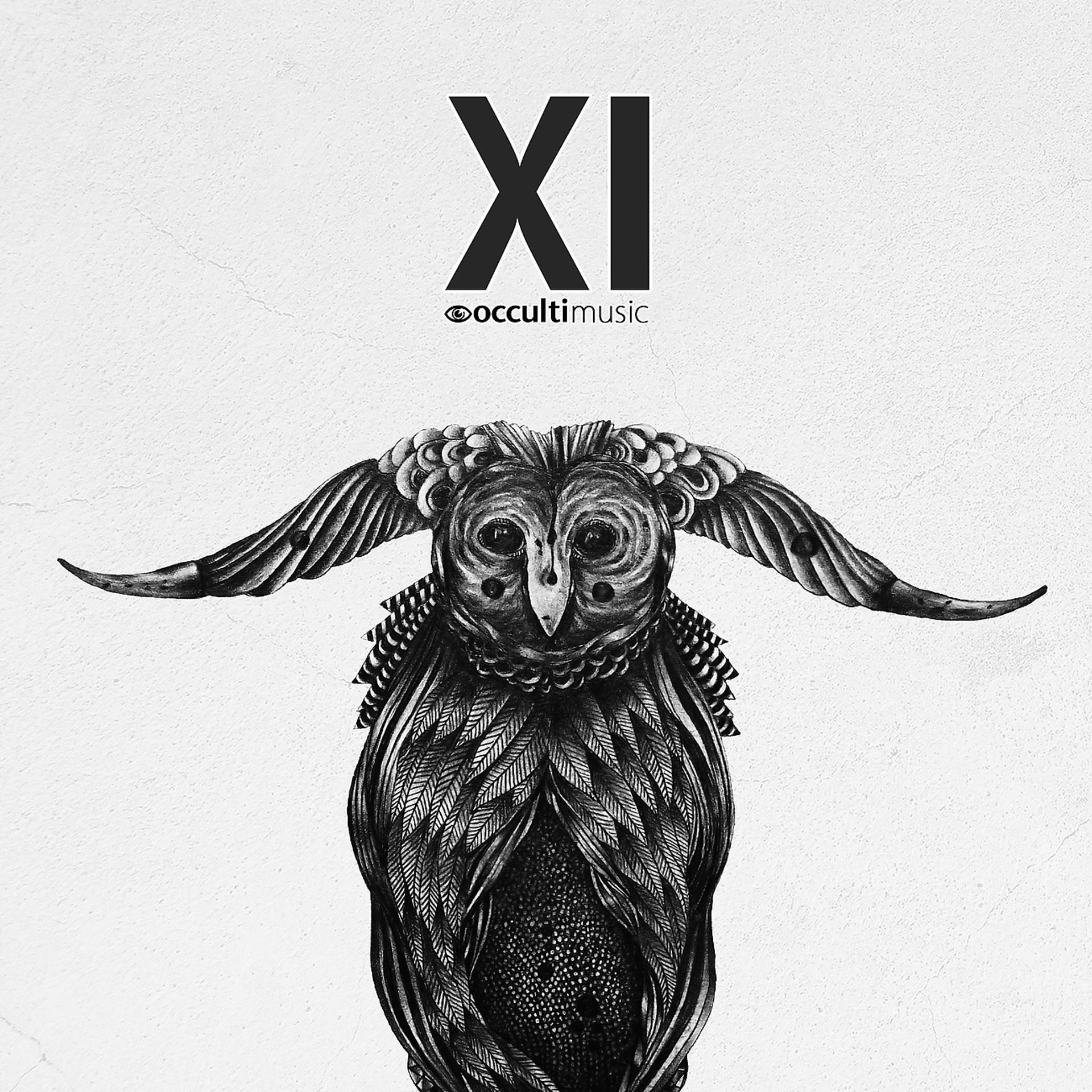 Постер альбома Occulti Music XI
