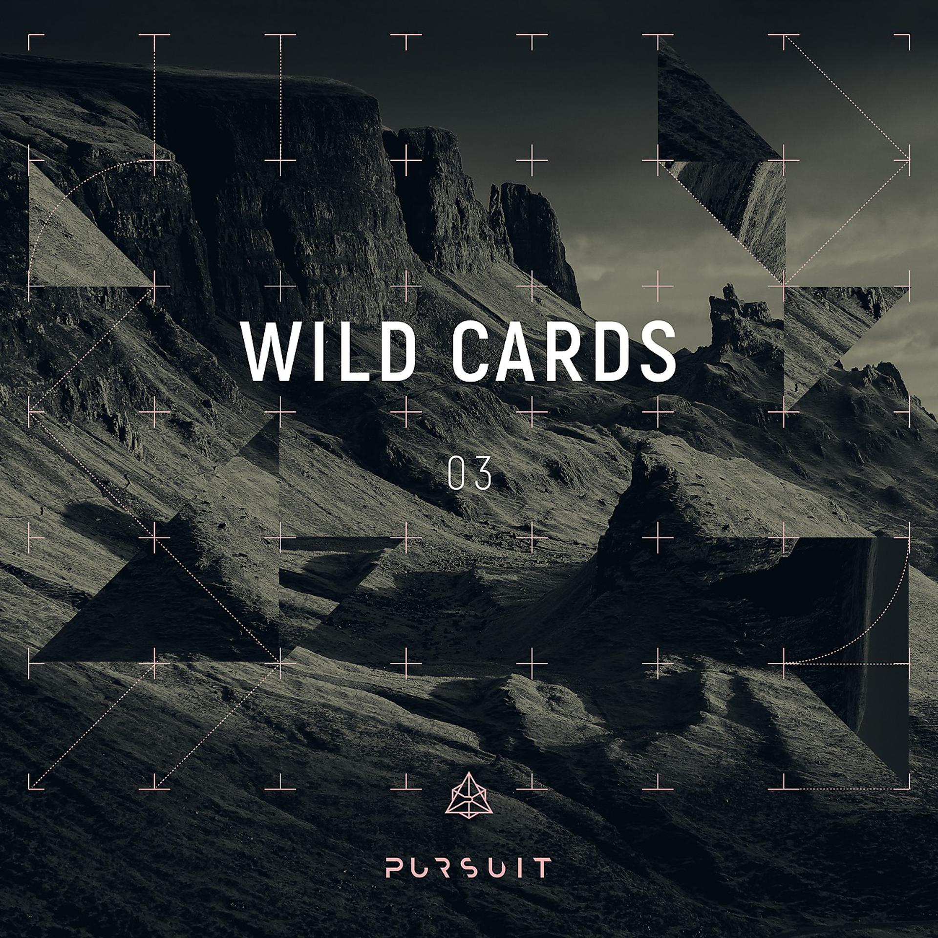 Постер альбома Wild Cards 03