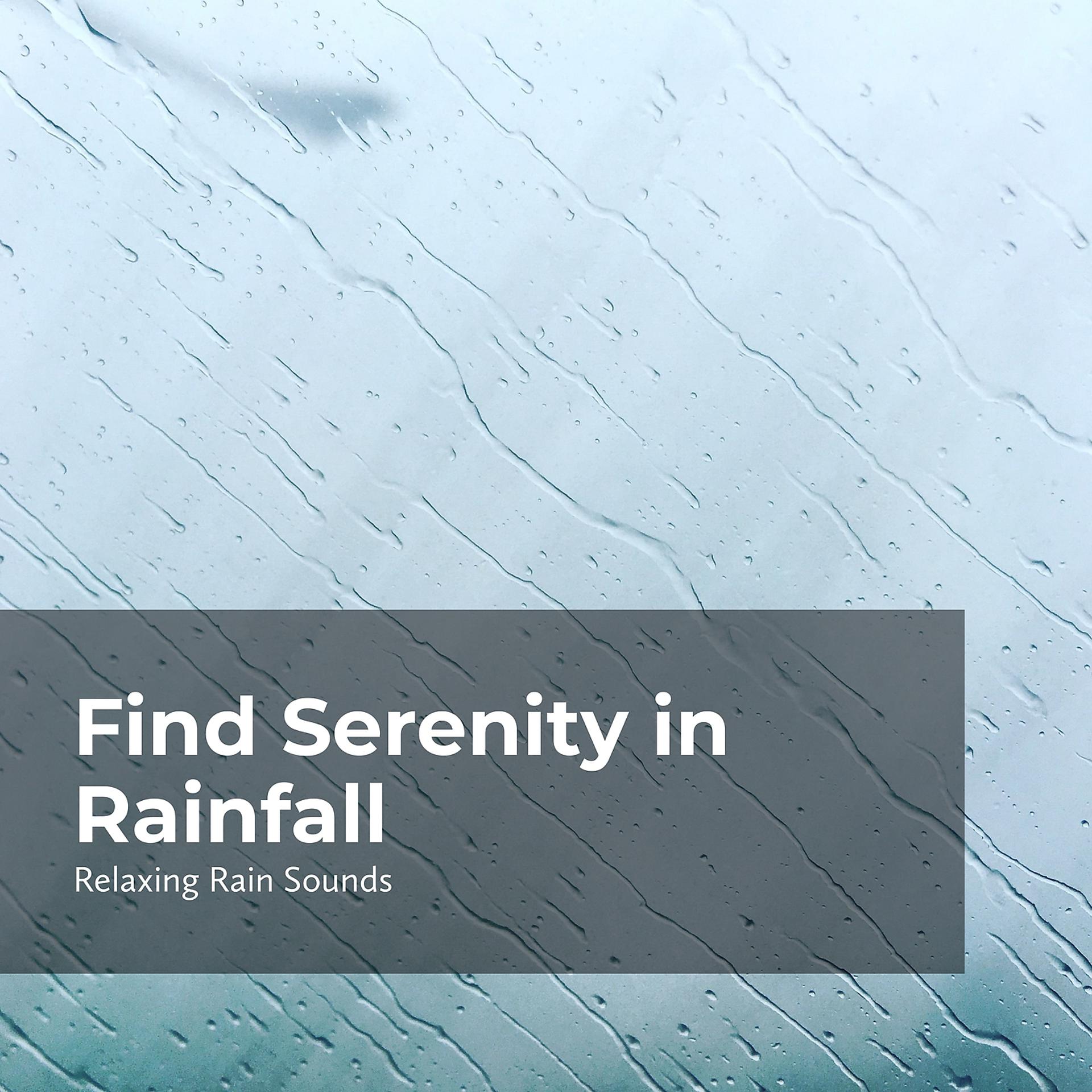 Постер альбома Find Serenity in Rainfall