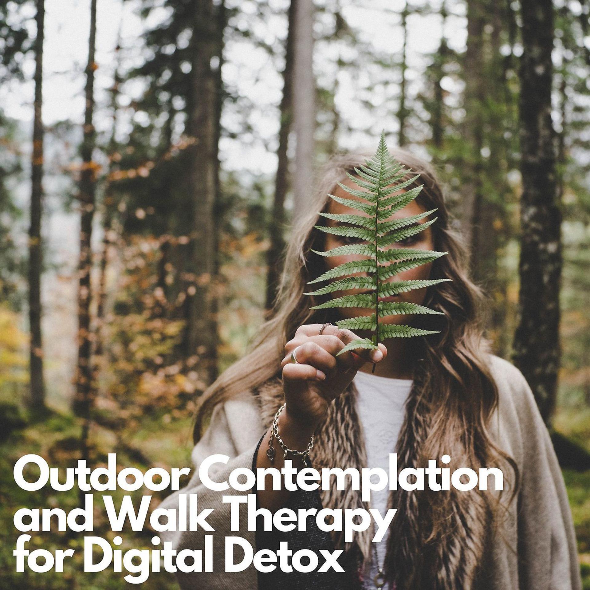 Постер альбома Outdoor Contemplation and Walk Therapy for Digital Detox
