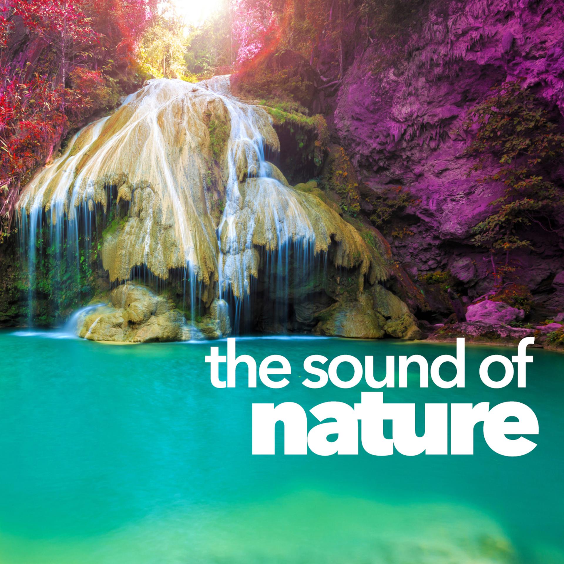 Постер альбома The Sound of Nature