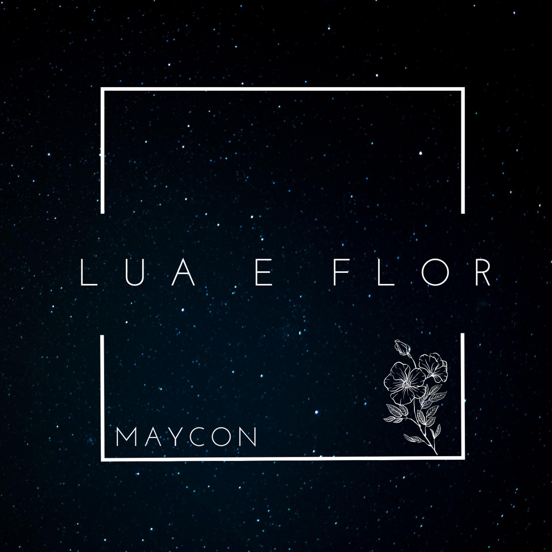 Постер альбома Lua e Flor