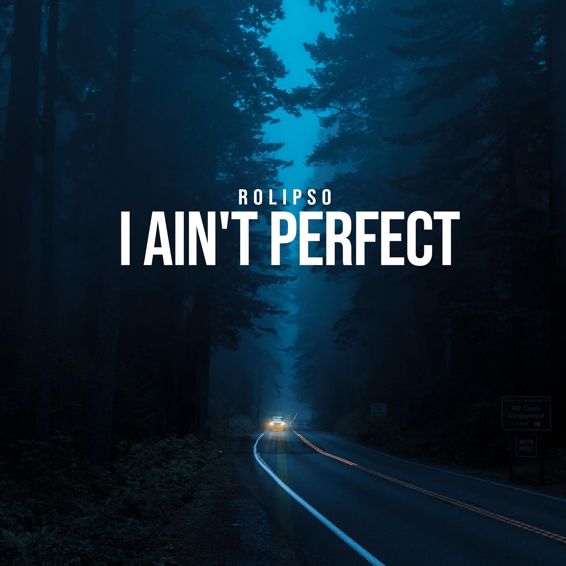 Постер альбома I Ain't Perfect