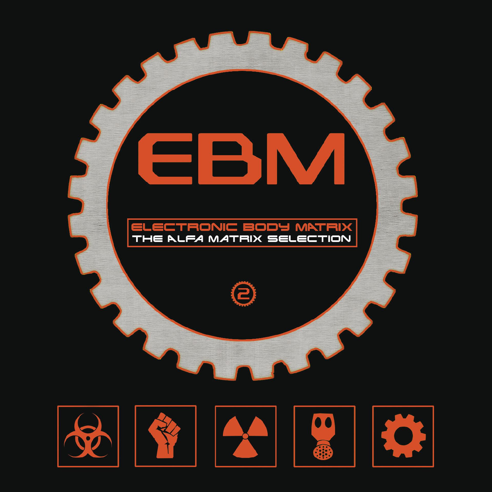 Постер альбома Electronic Body Matrix 2
