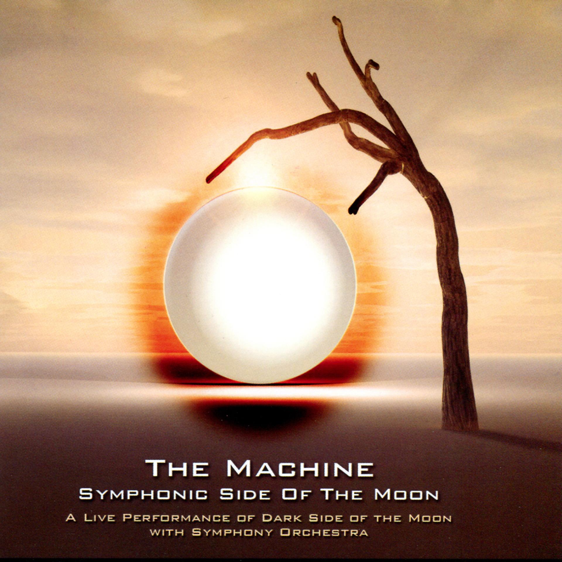 Постер альбома Symphonic Side Of The Moon