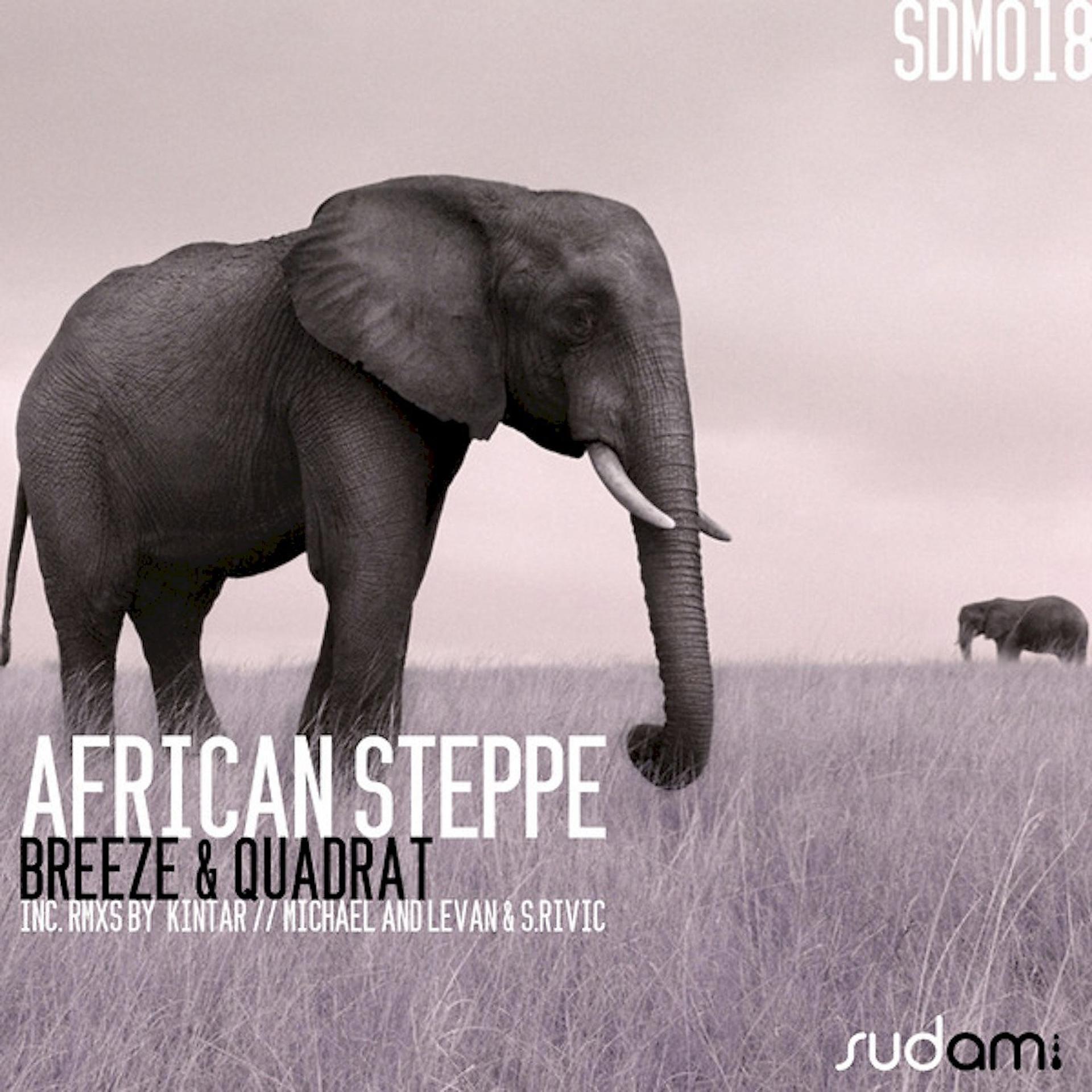 Постер альбома African Steppe