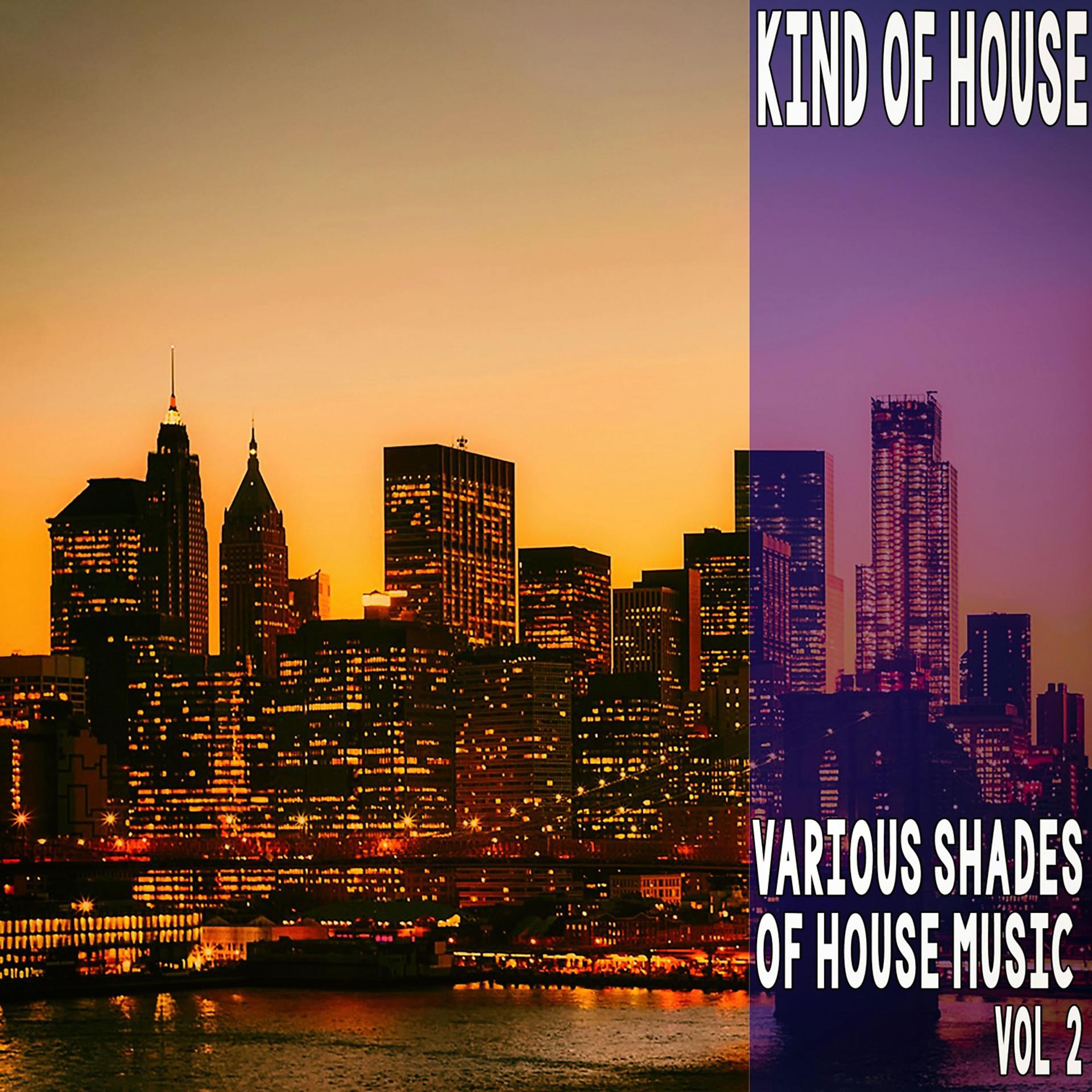 Постер альбома Kind of House, Vol. 2 - Various Shades of House Music