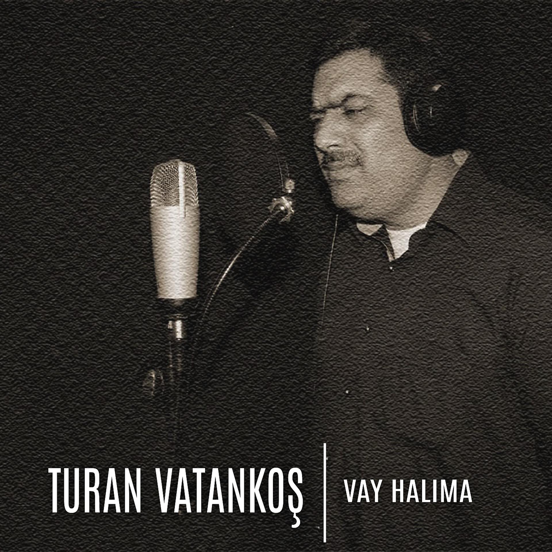 Постер альбома Vayhalıma