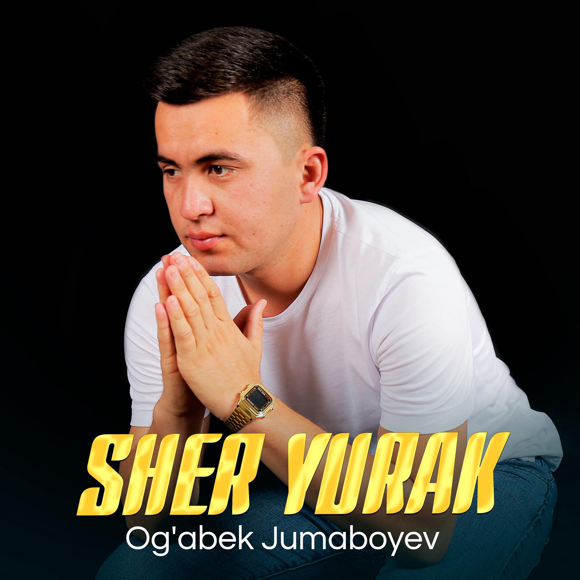Постер альбома Sher Yurak