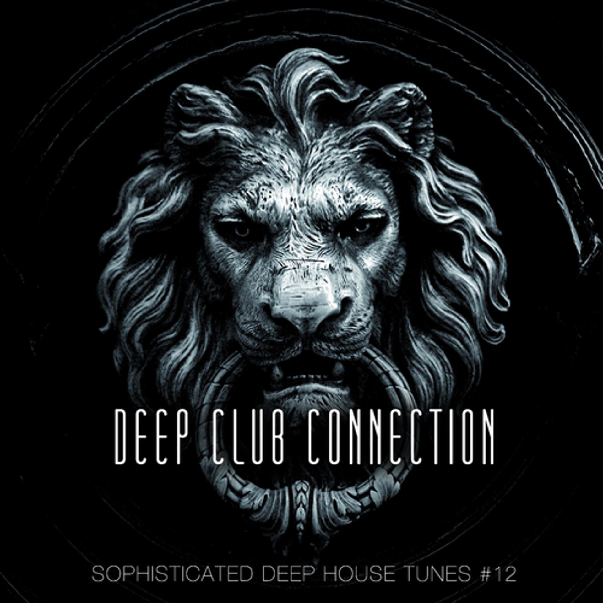 Постер альбома Deep Club Connection, Vol. 12