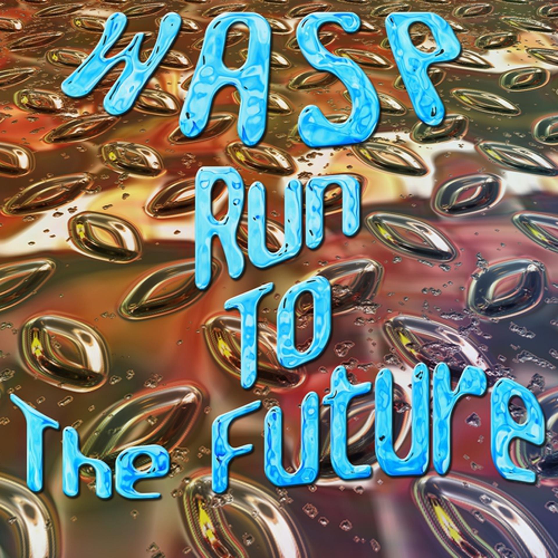 Постер альбома Run to the Future