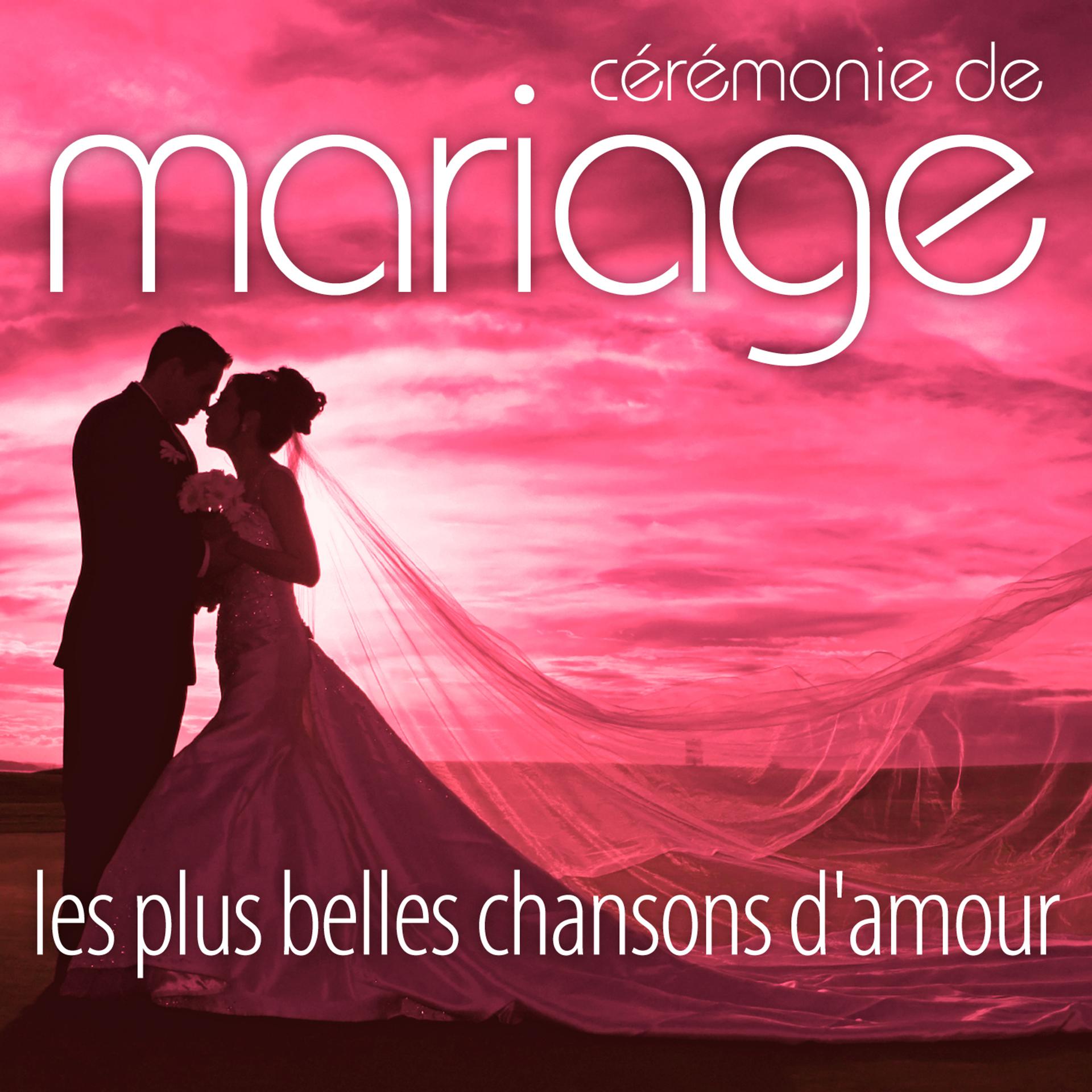 Постер альбома Les Plus Belles Chansons D'Amour