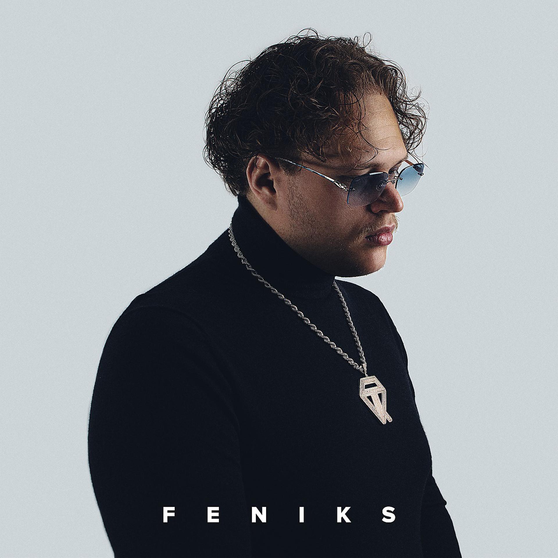 Постер альбома Feniks