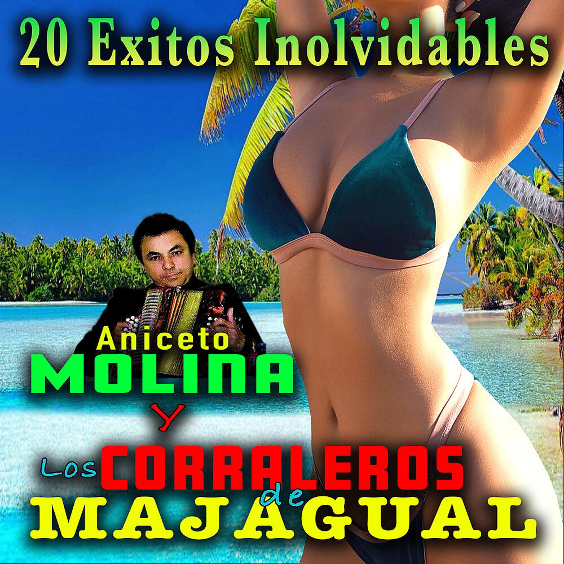 Постер альбома 20 Exitos Inolvidables