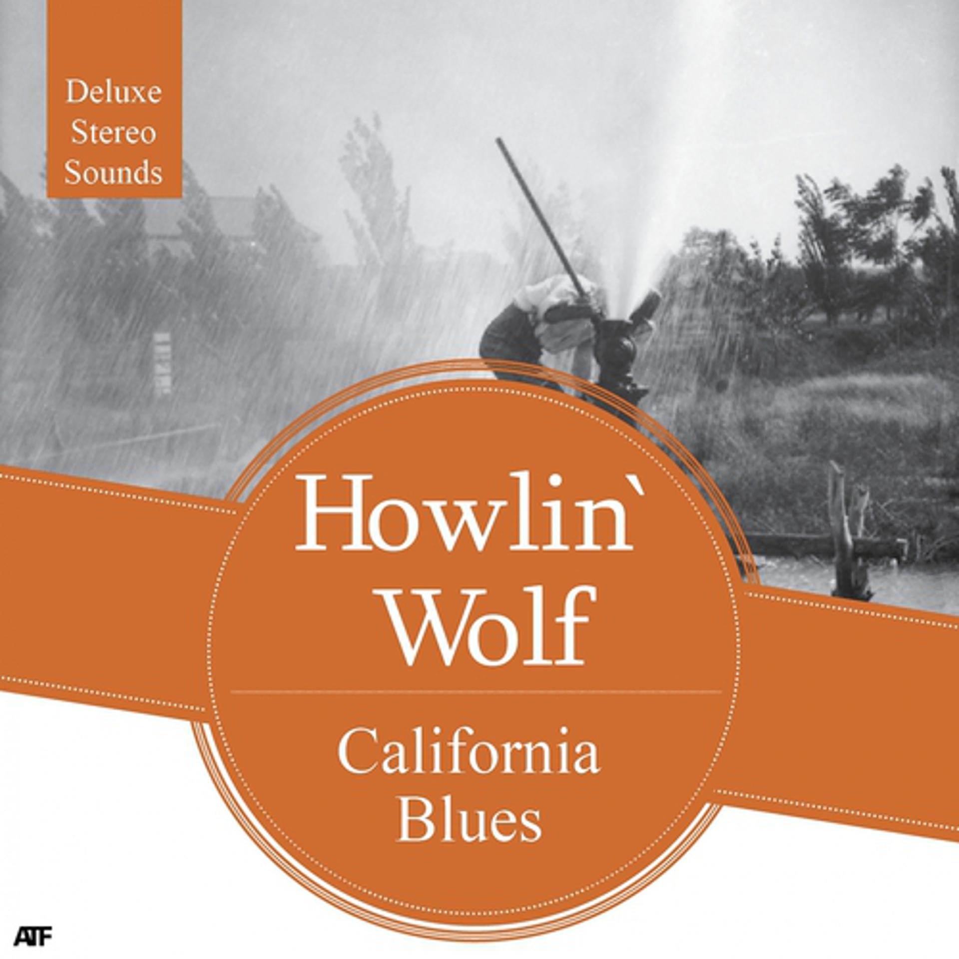 Постер альбома California Blues
