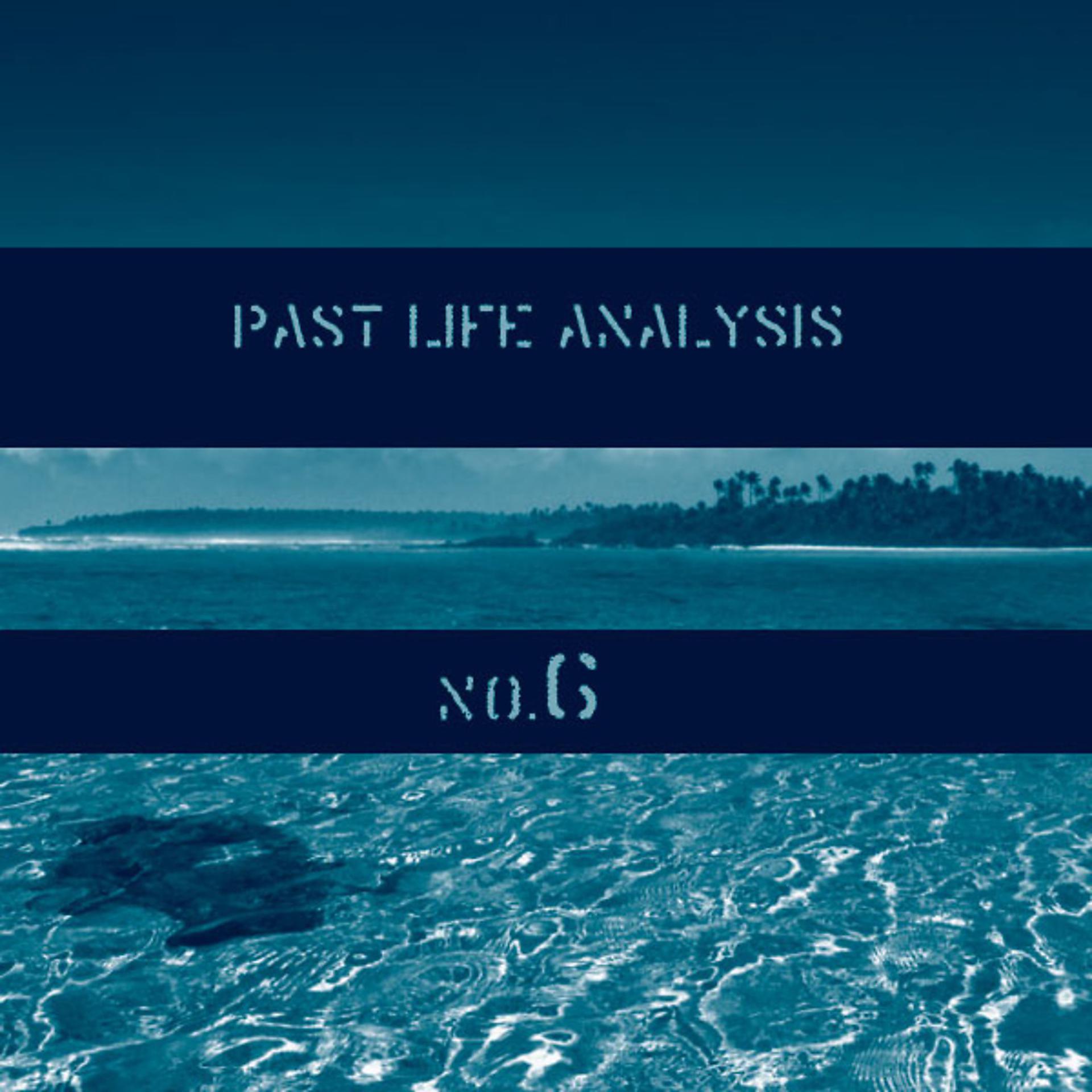 Постер альбома Past Life Analysis 6