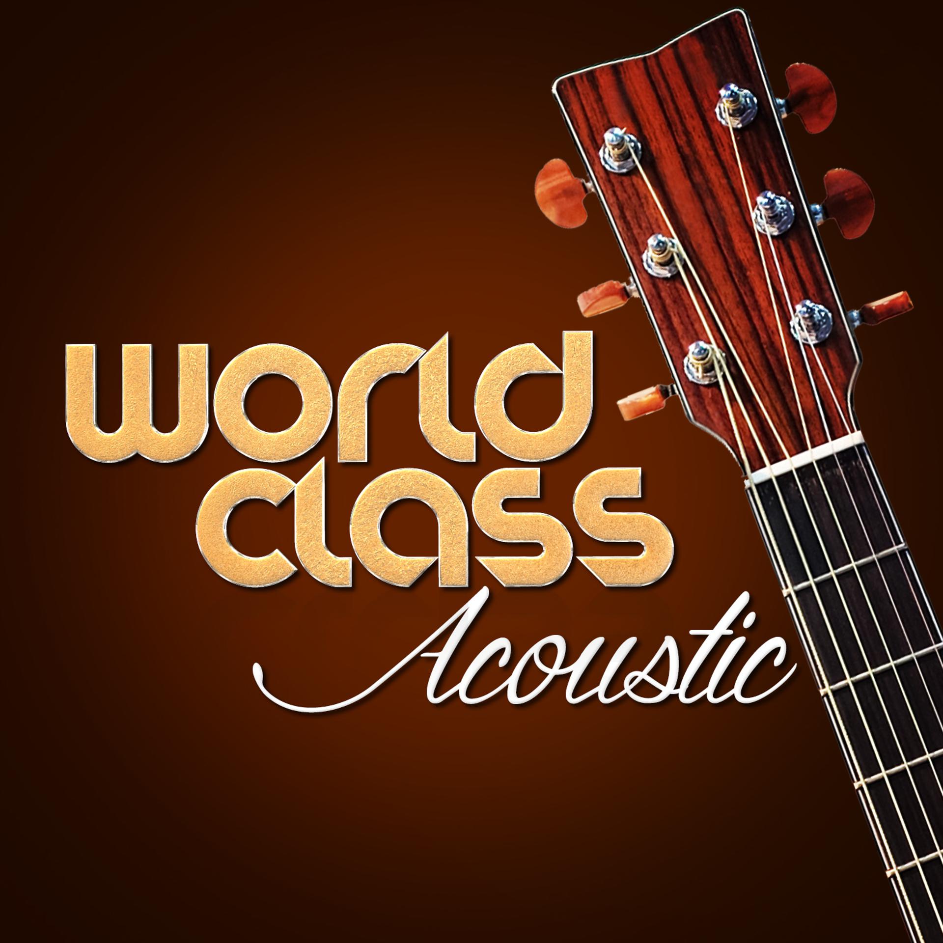 Постер альбома World Class Acoustic