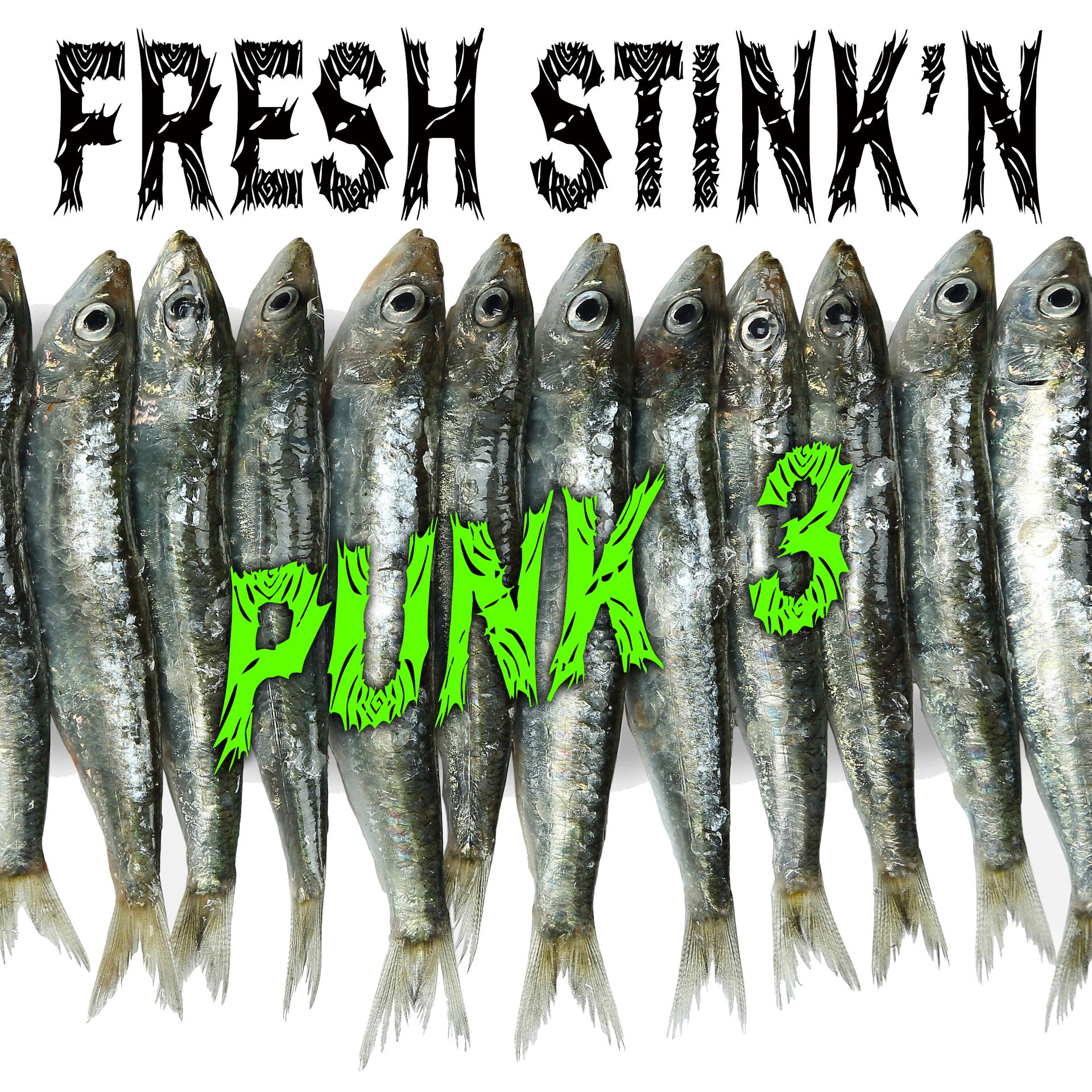 Постер альбома Fresh Stink'n Punk, Vol. 3