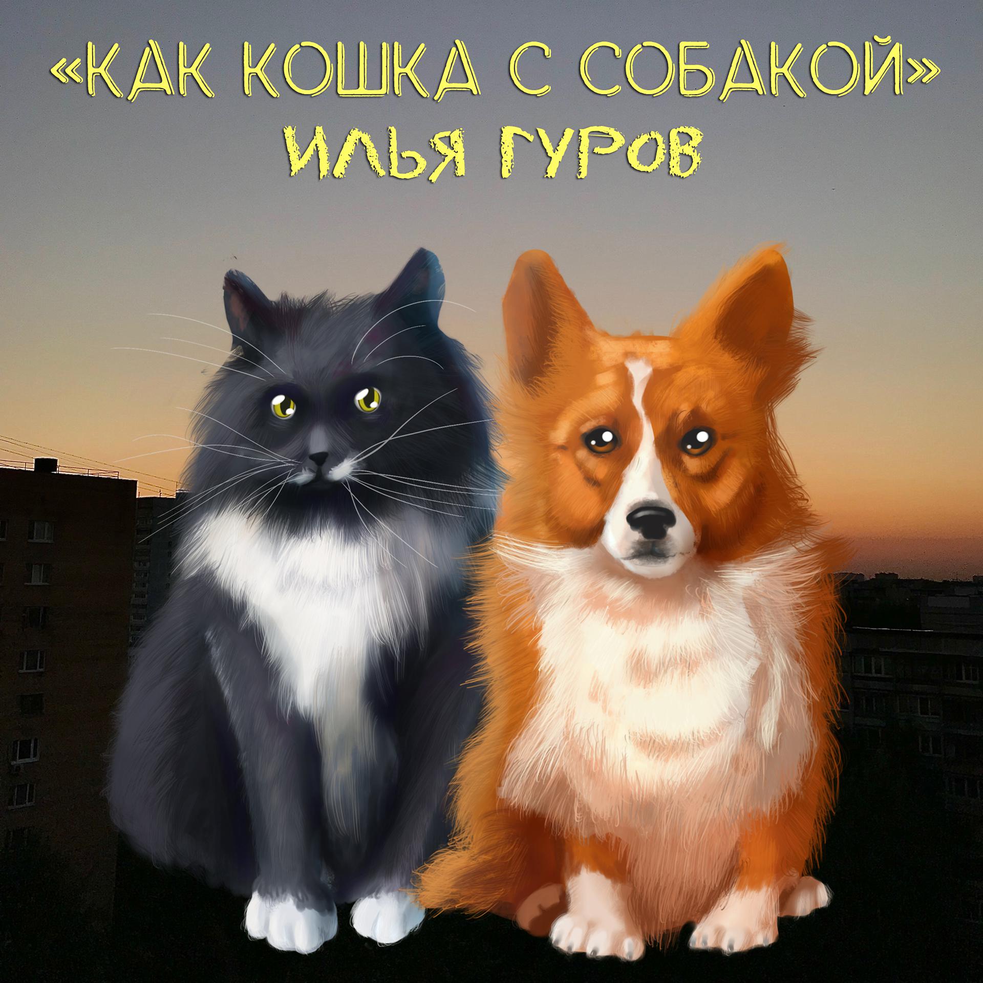 Постер альбома Как кошка с собакой