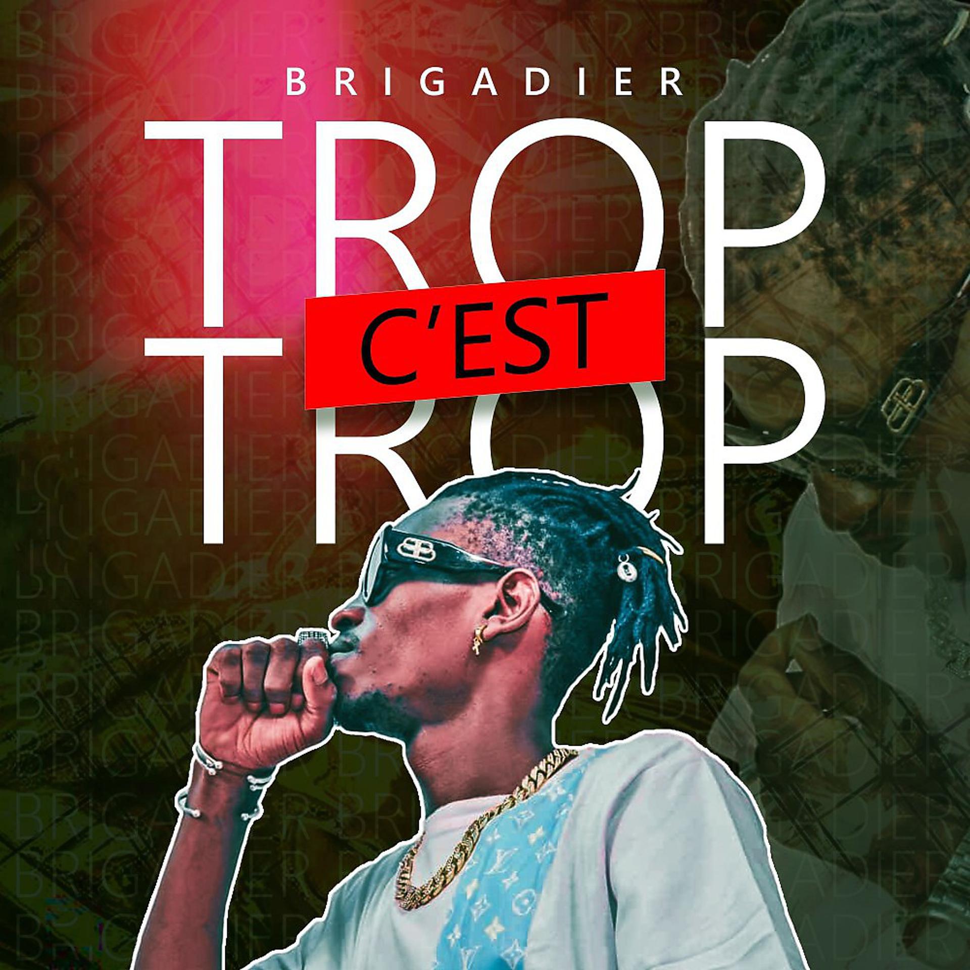 Постер альбома Trop c'est trop