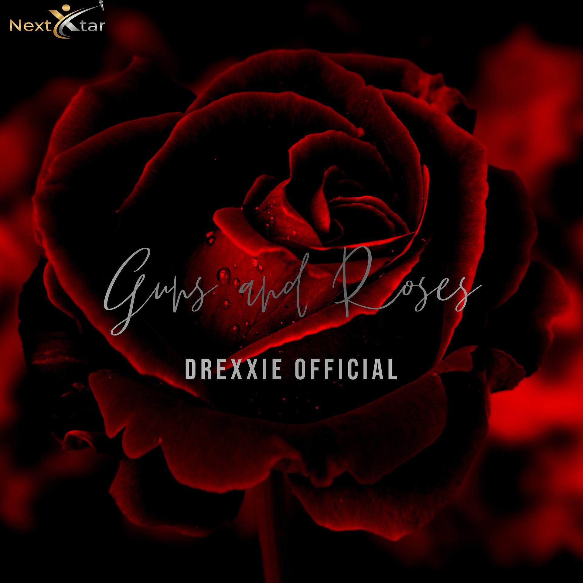 Постер альбома Guns and Roses