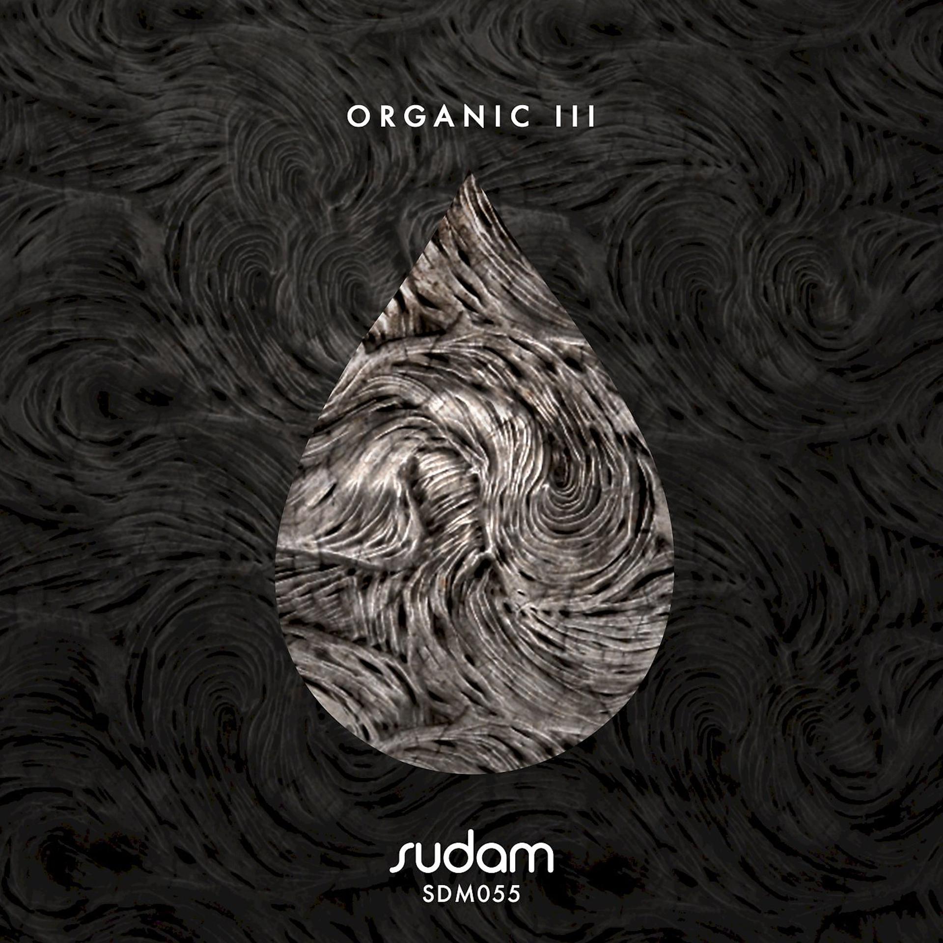 Постер альбома Organic III