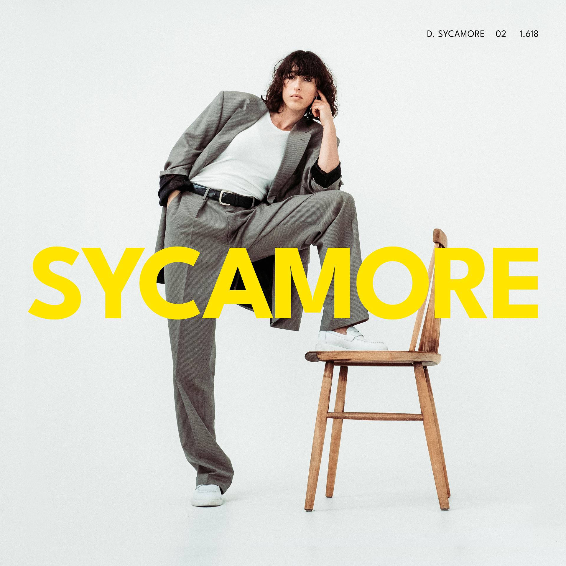 Постер альбома Sycamore
