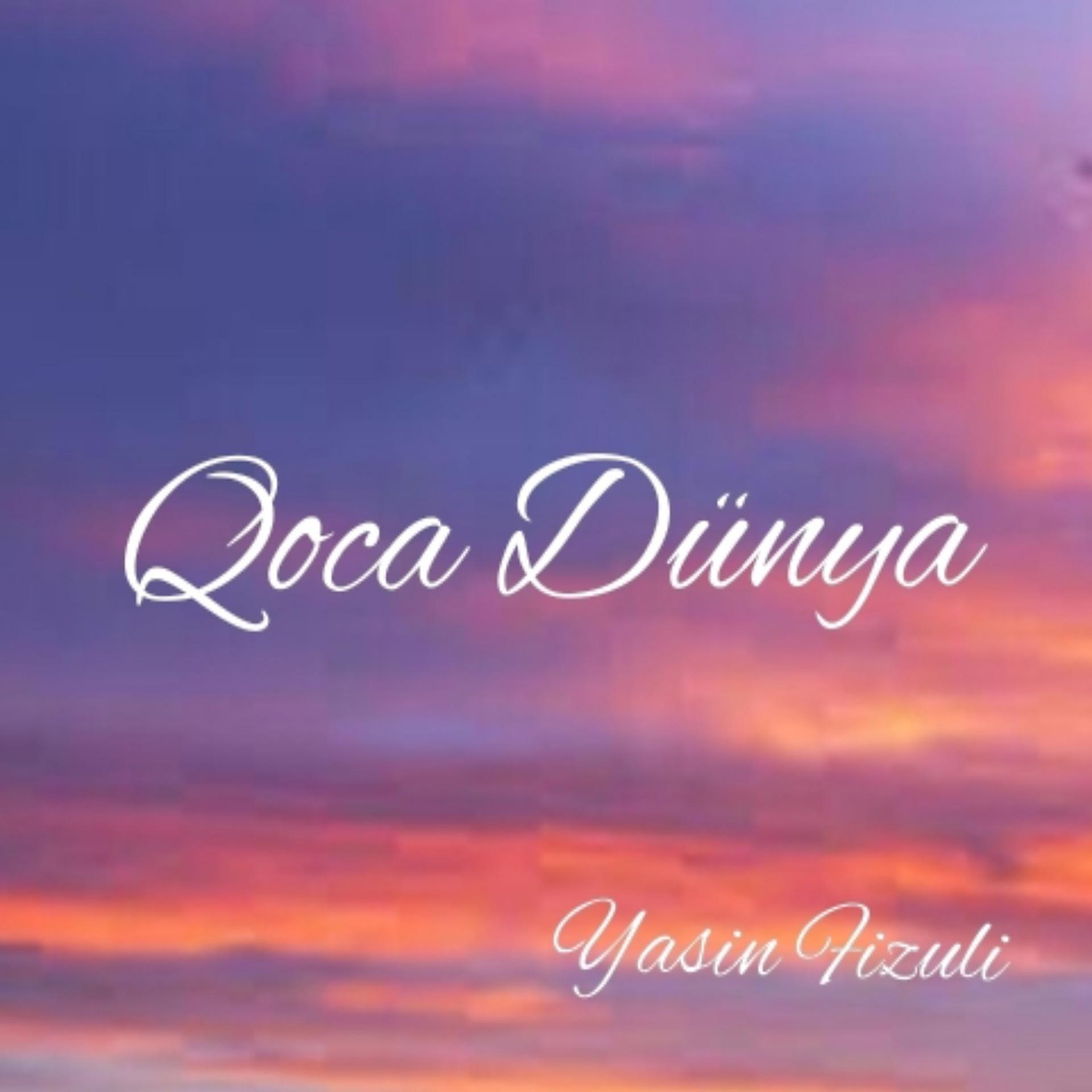 Постер альбома Qoca Dünya