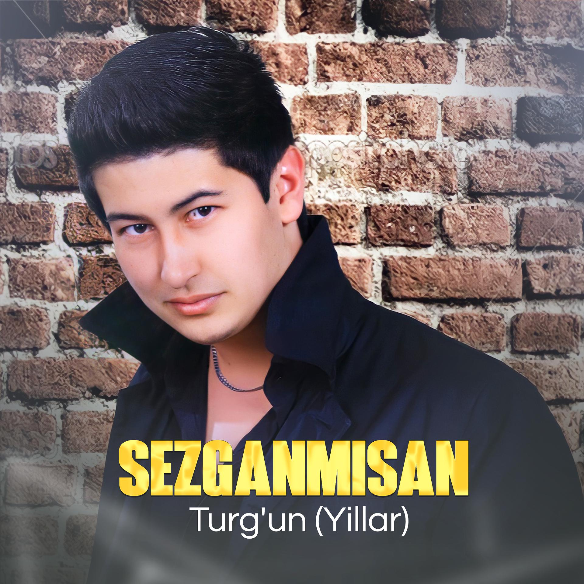 Постер альбома Sezganmisan