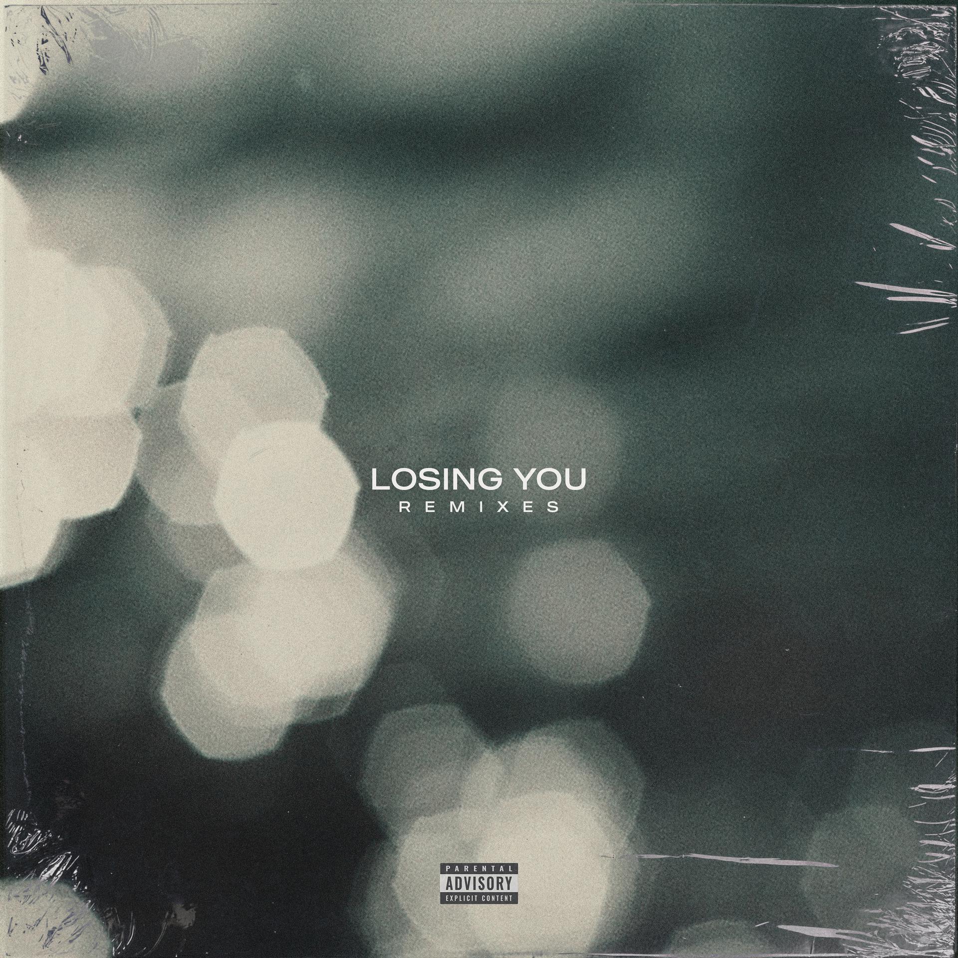 Постер альбома Losing You (Remixes)