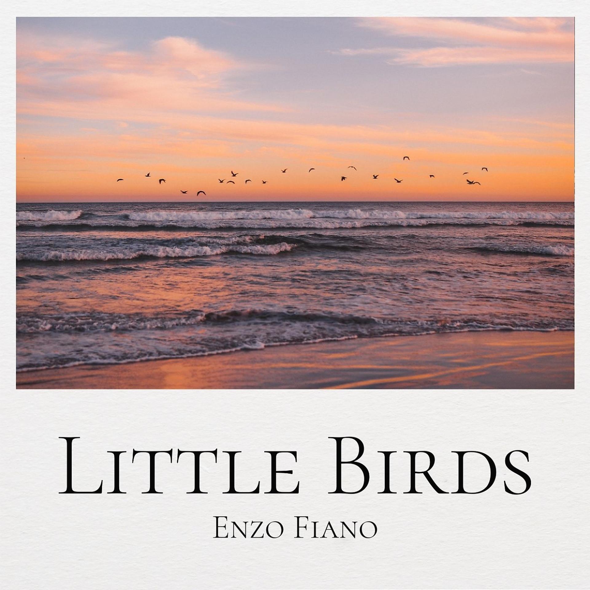 Постер альбома Little Birds