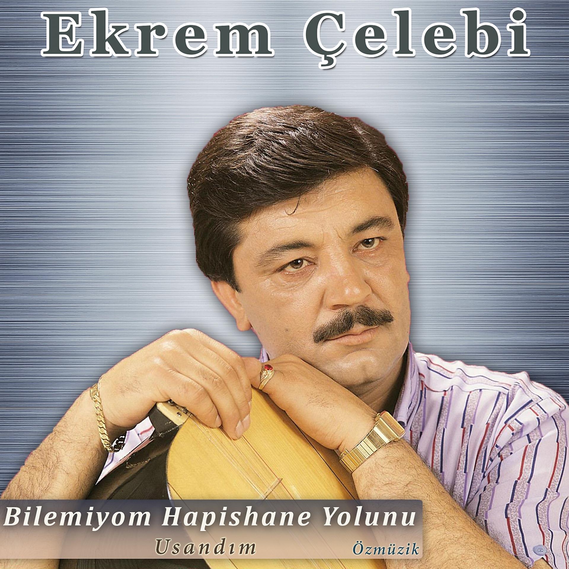 Постер альбома Bilemiyom Hapishane Yolunu