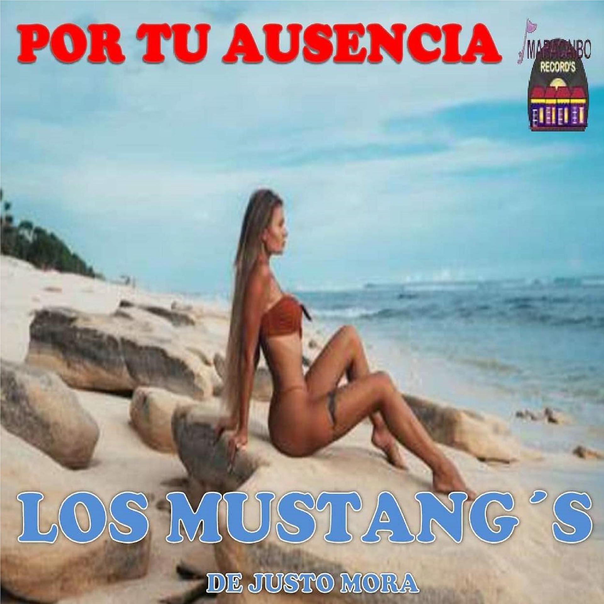 Постер альбома Por Tu Ausencia