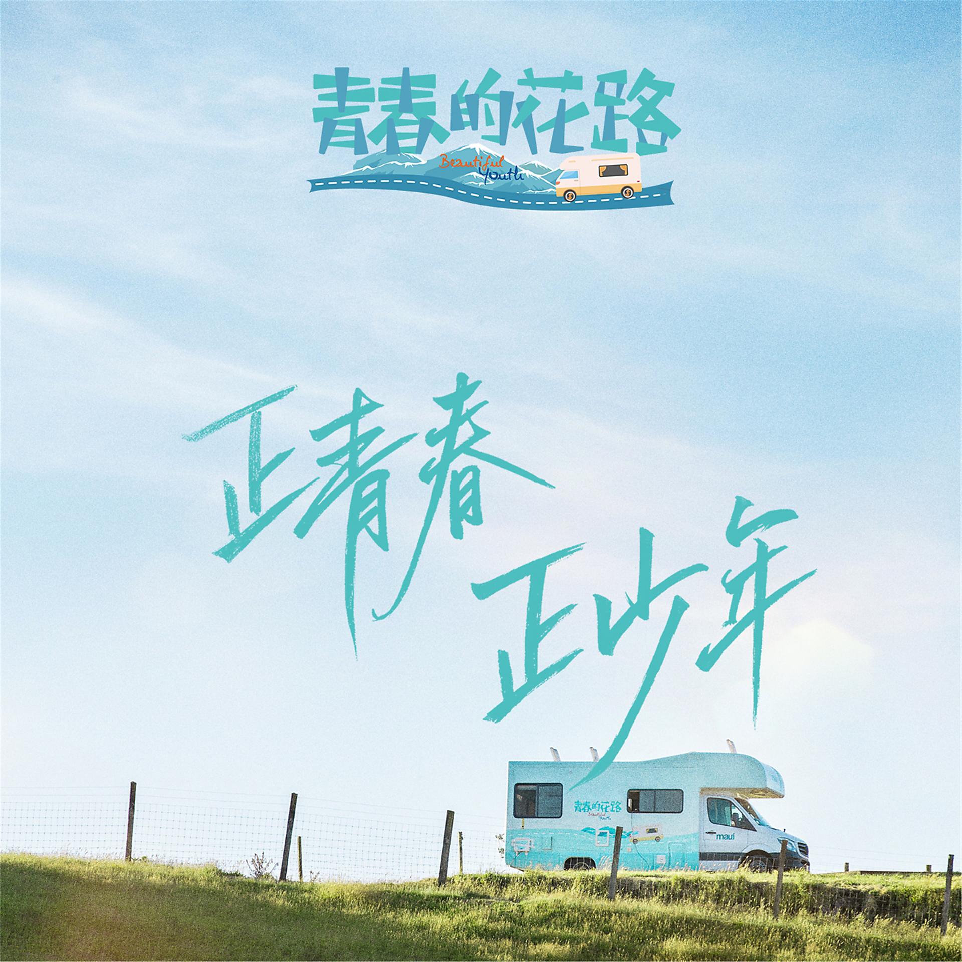 Постер альбома 青春的花路