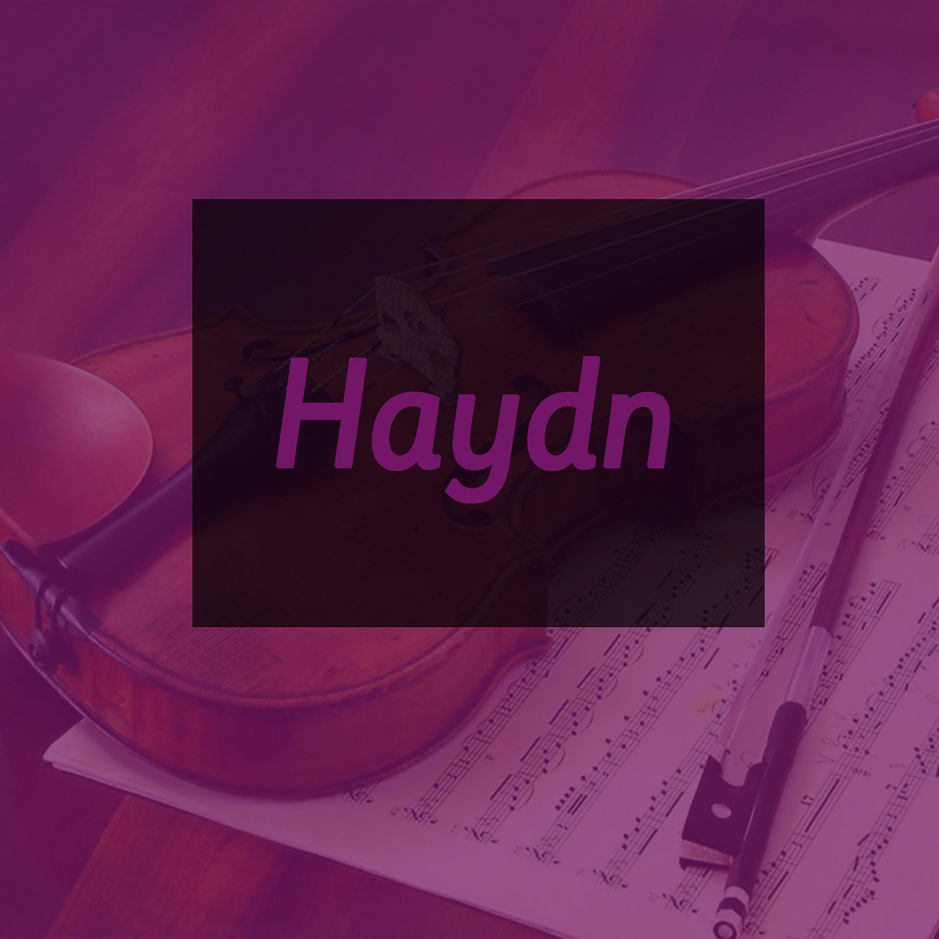 Постер альбома Haydn