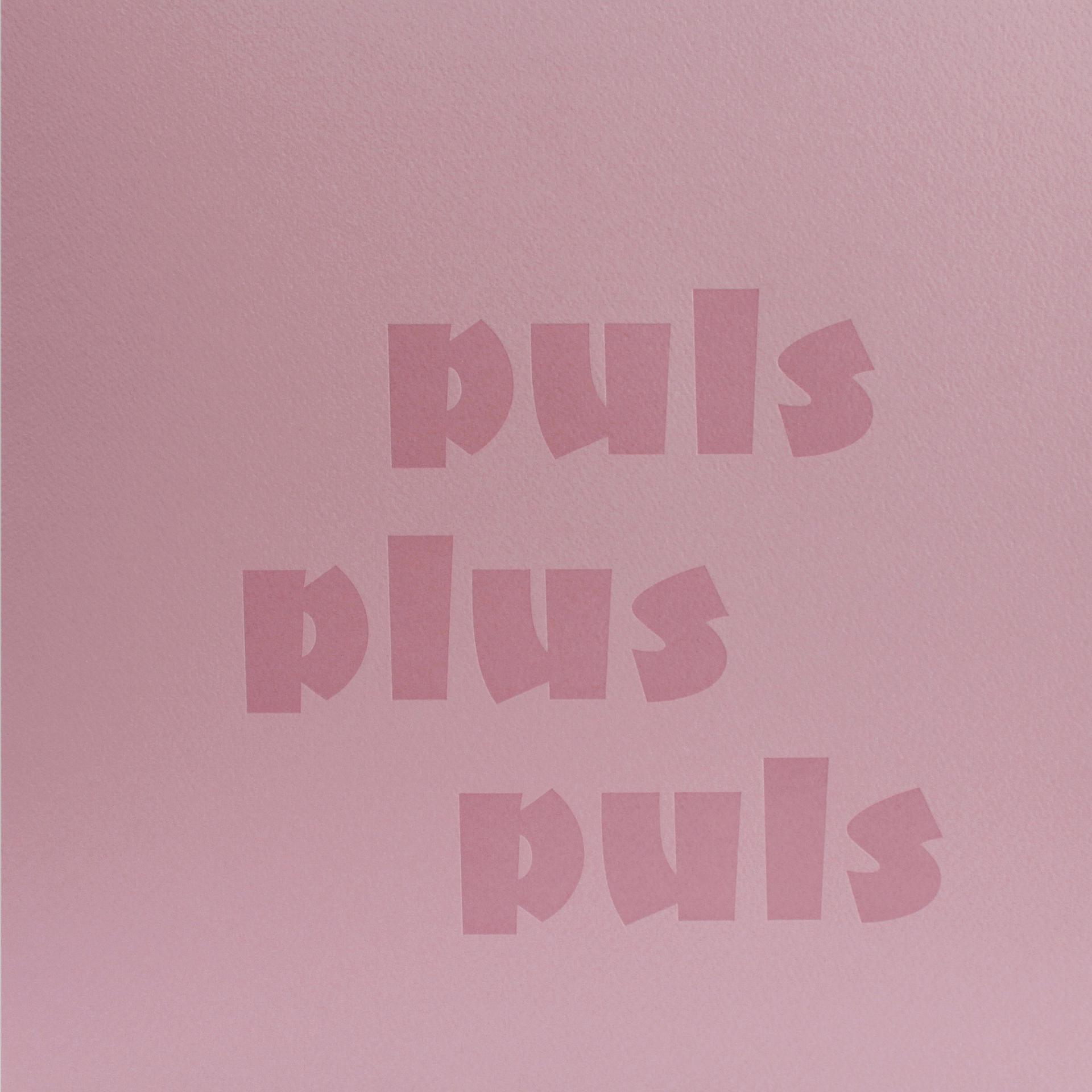 Постер альбома puls-plus-puls