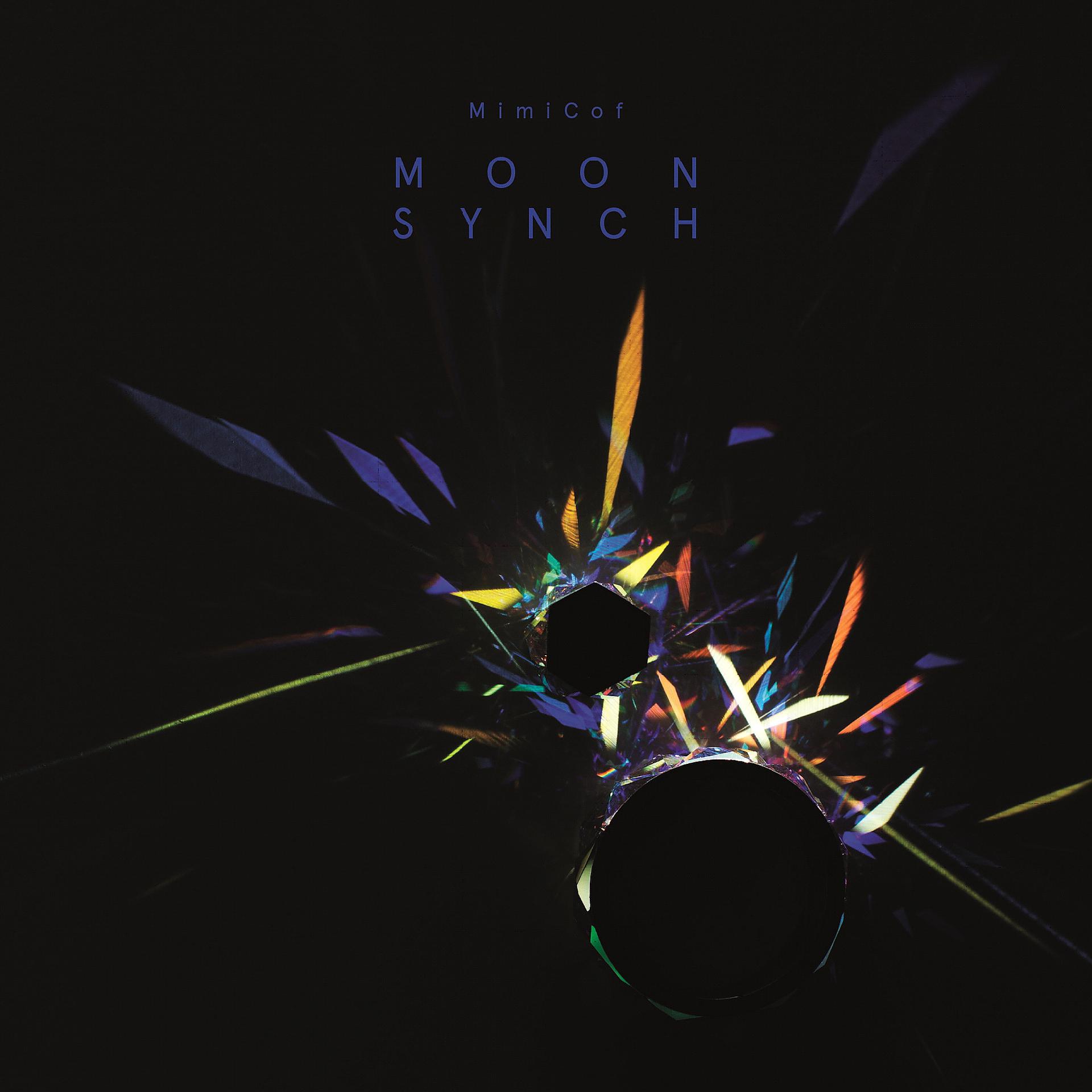 Постер альбома Moon Synch