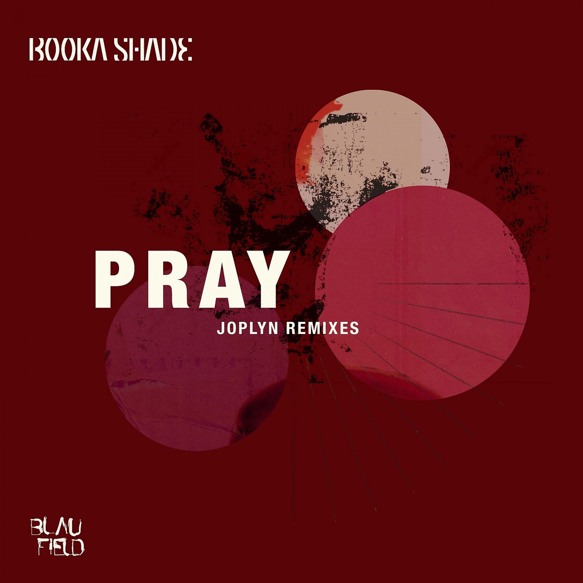 Постер альбома Pray (Joplyn Remixes)