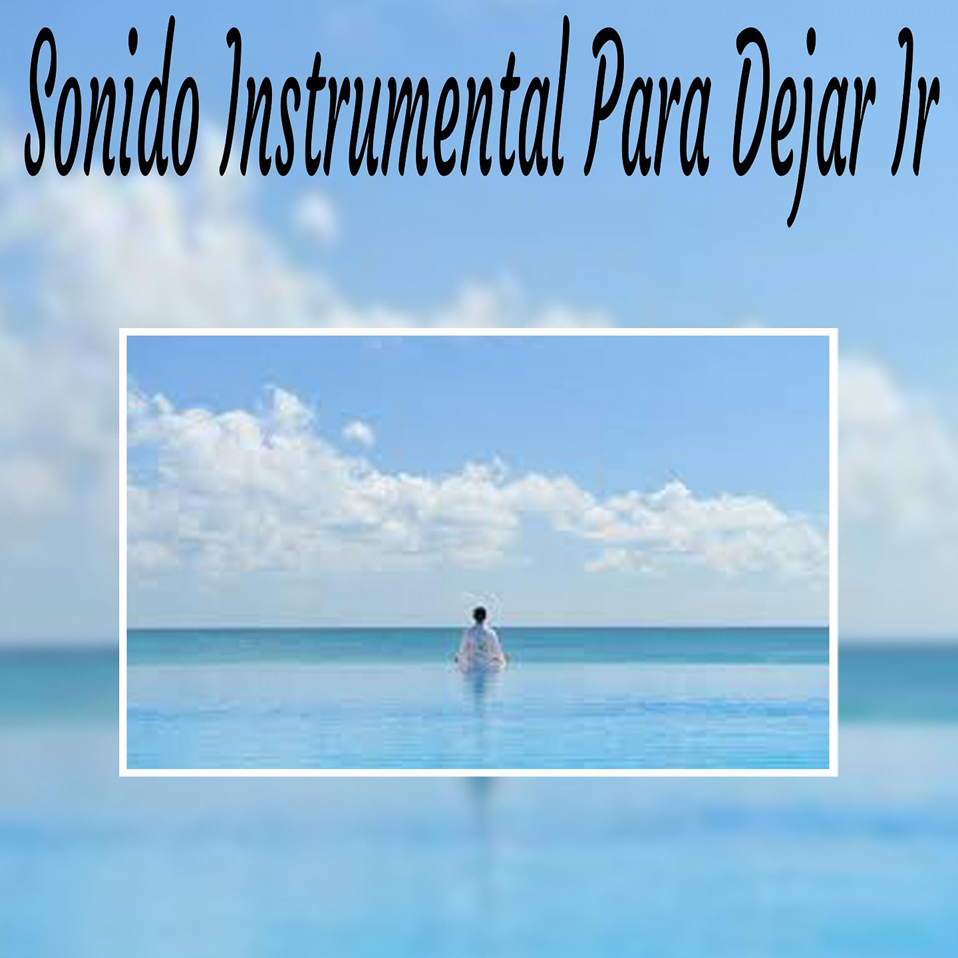 Постер альбома Sonido Instrumental para Dejar Ir