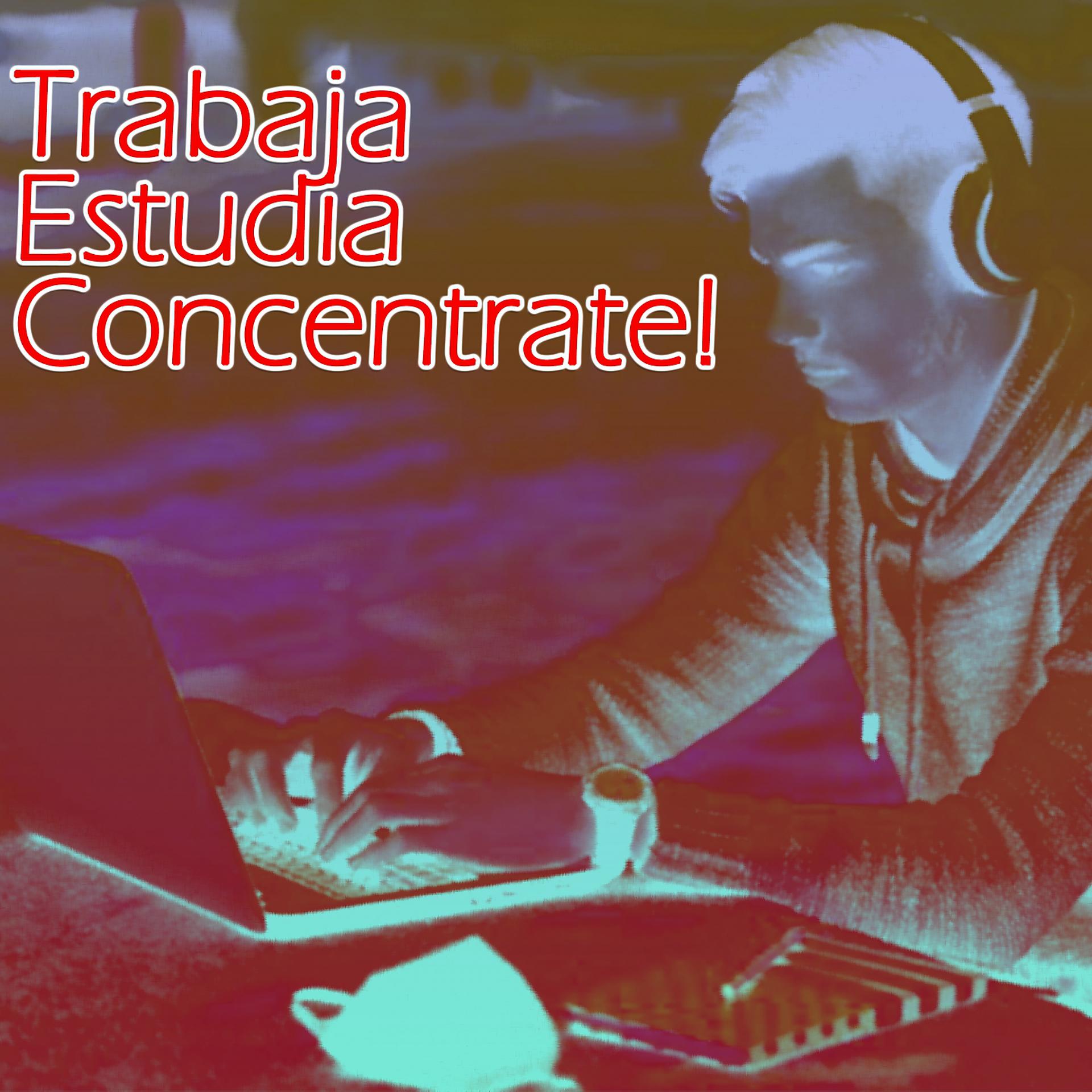 Постер альбома Musica Electronica Para Trabajar Y Estudiar