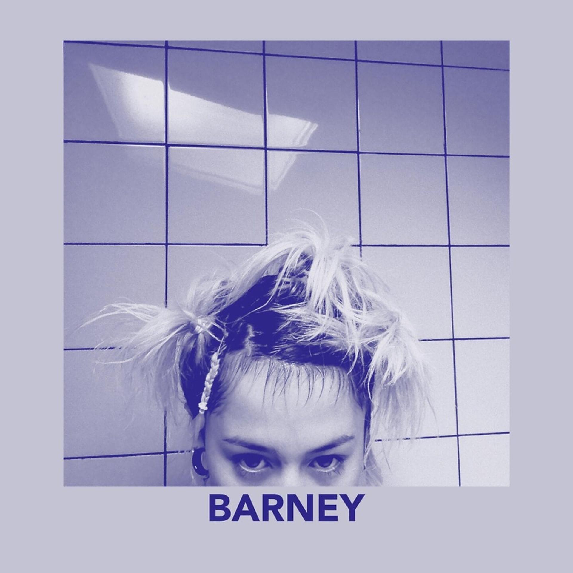 Постер альбома Barney