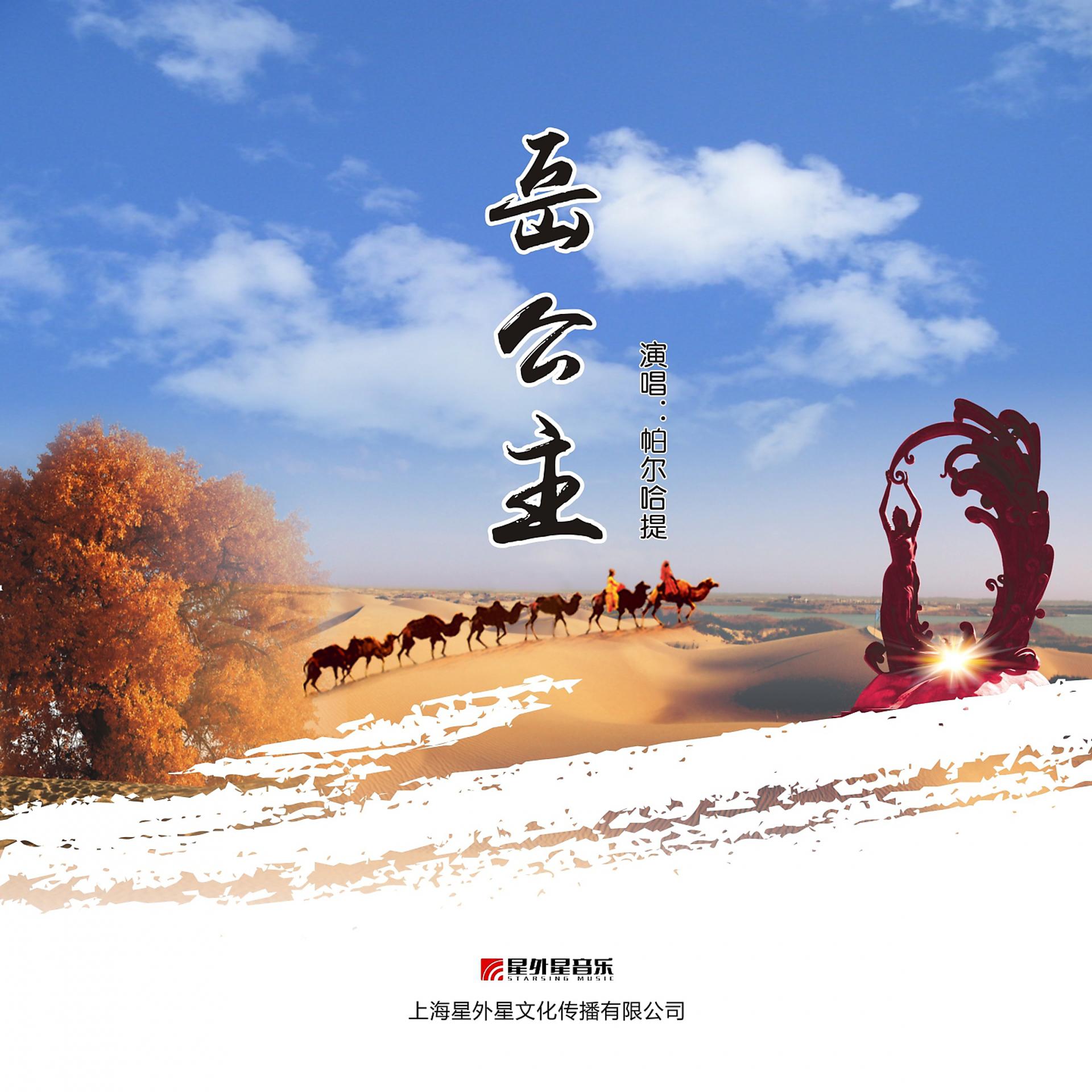 Постер альбома 岳公主