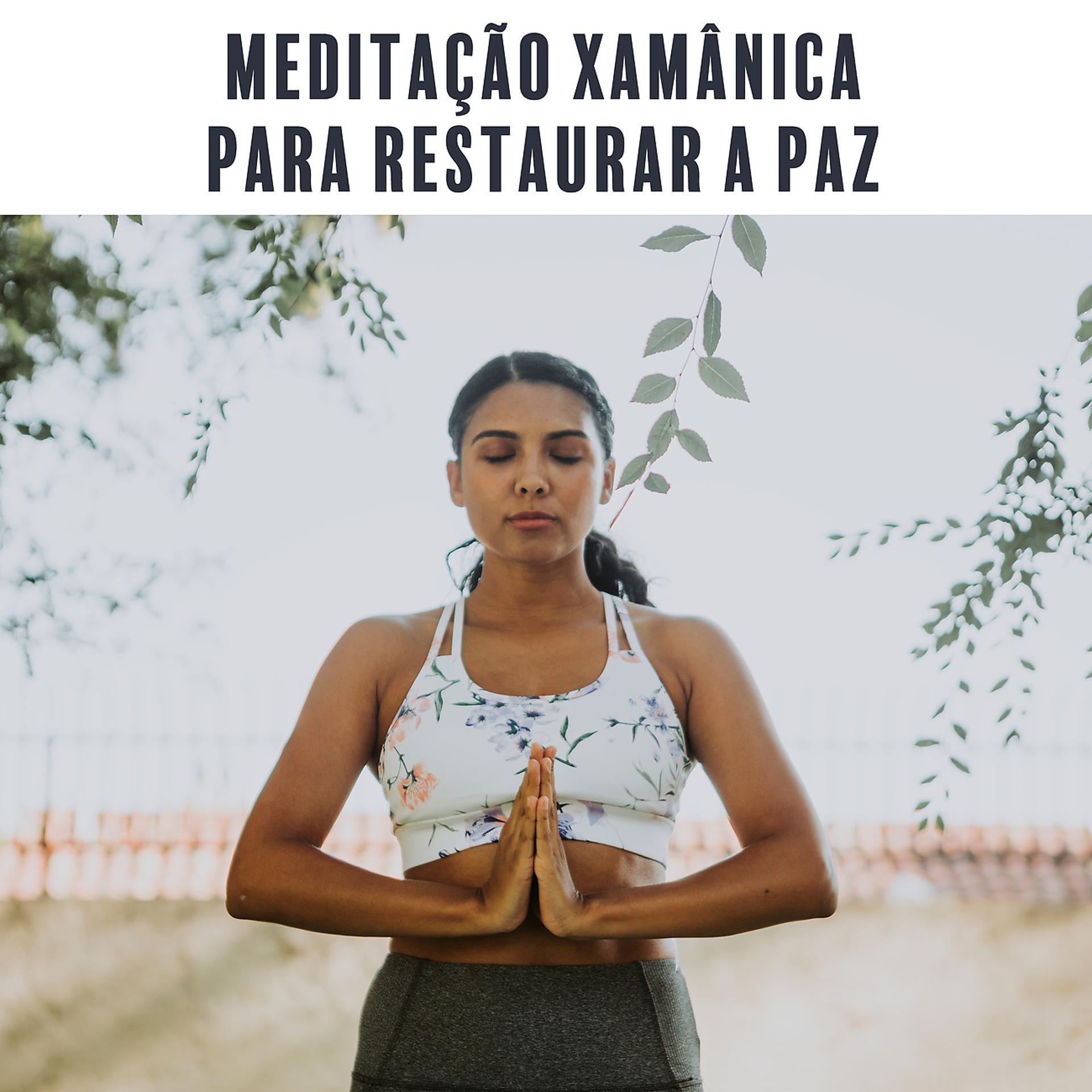 Постер альбома Meditação Xamânica para Restaurar a Paz