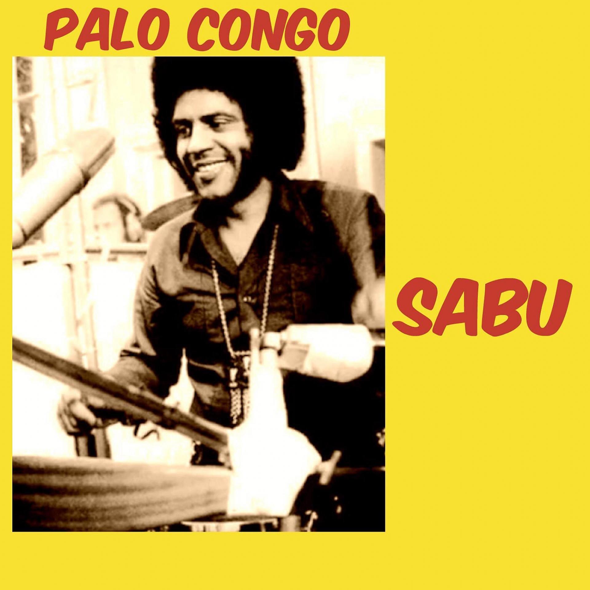 Постер альбома Palo Congo